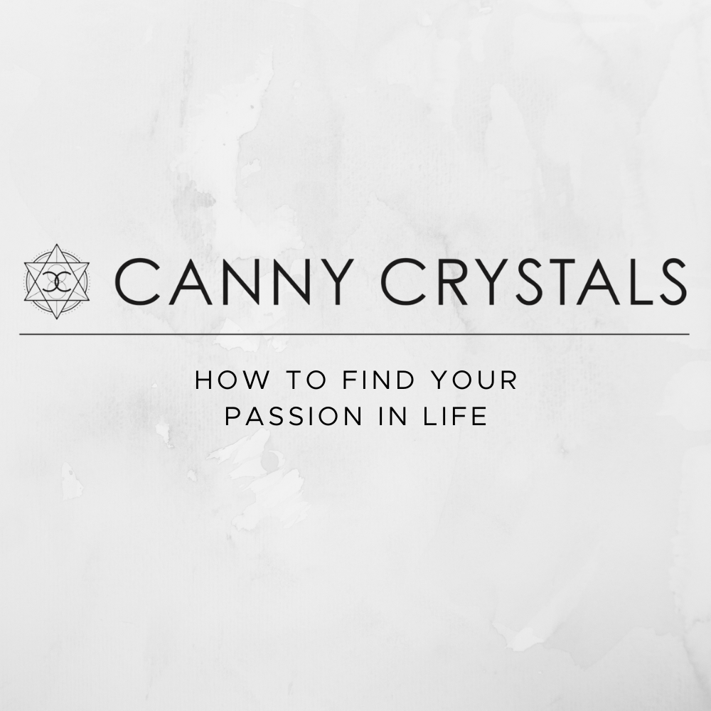 How to find your passion in life