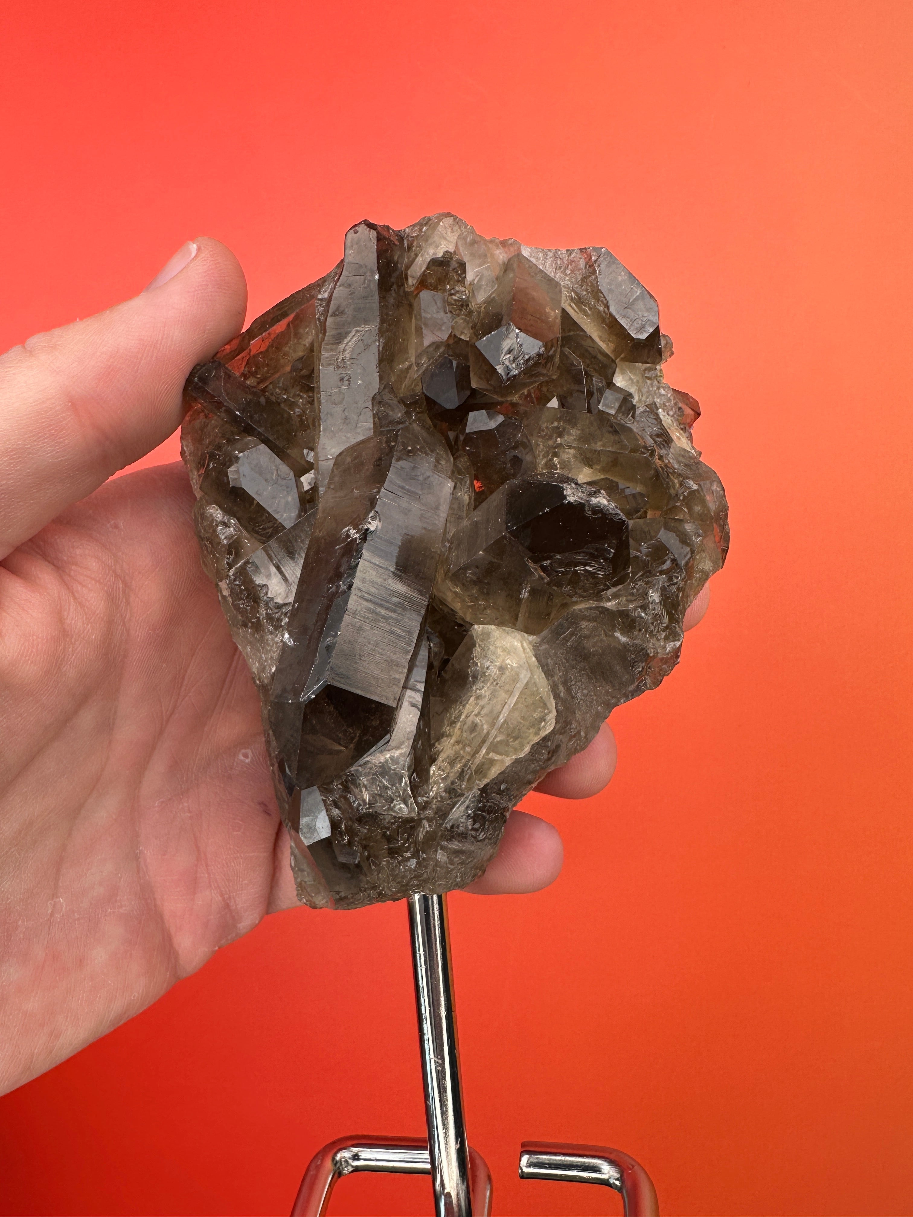 Smoky quartz - Rough cluster on a stand