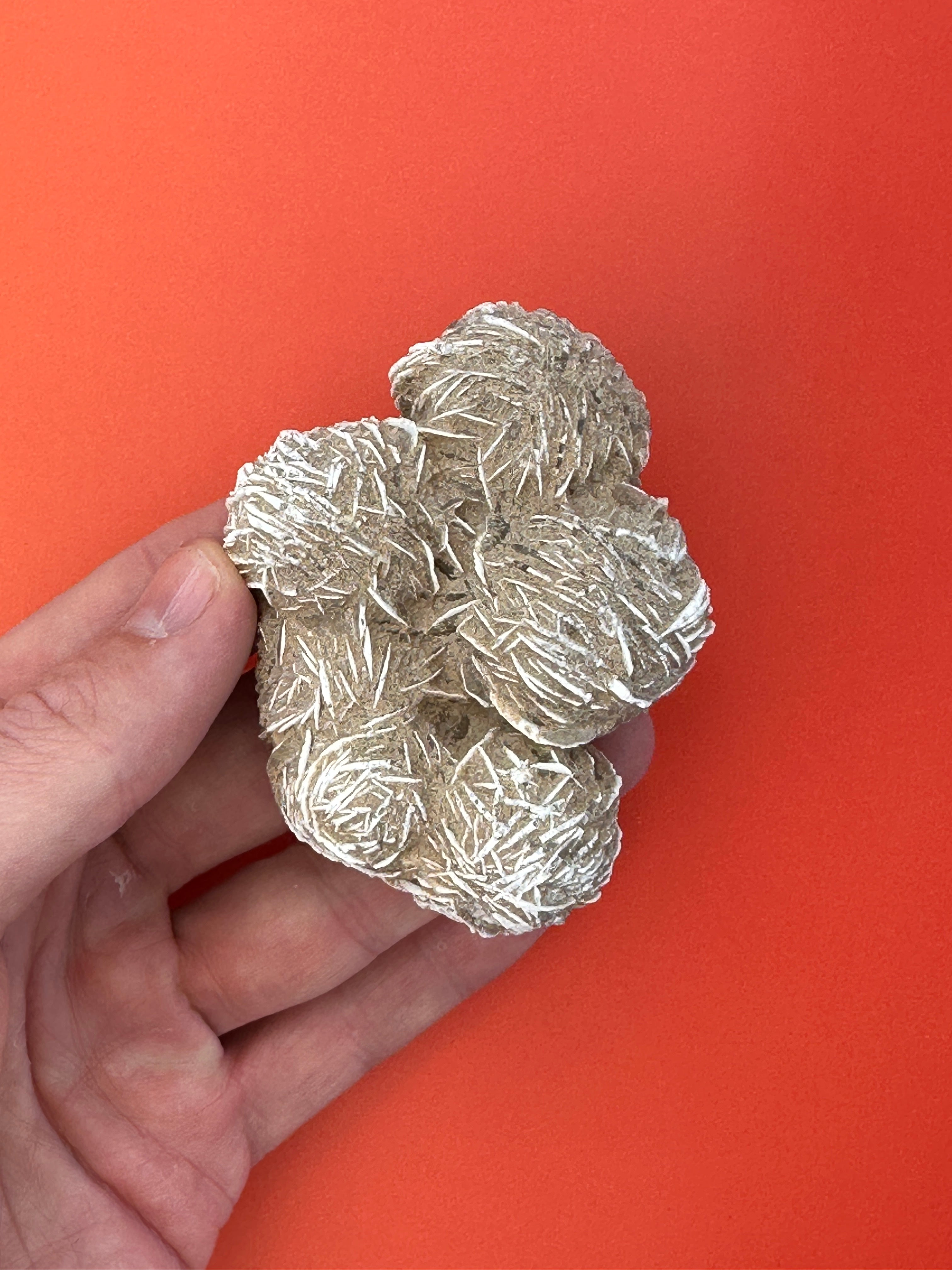 Desert rose - XL Raw cluster