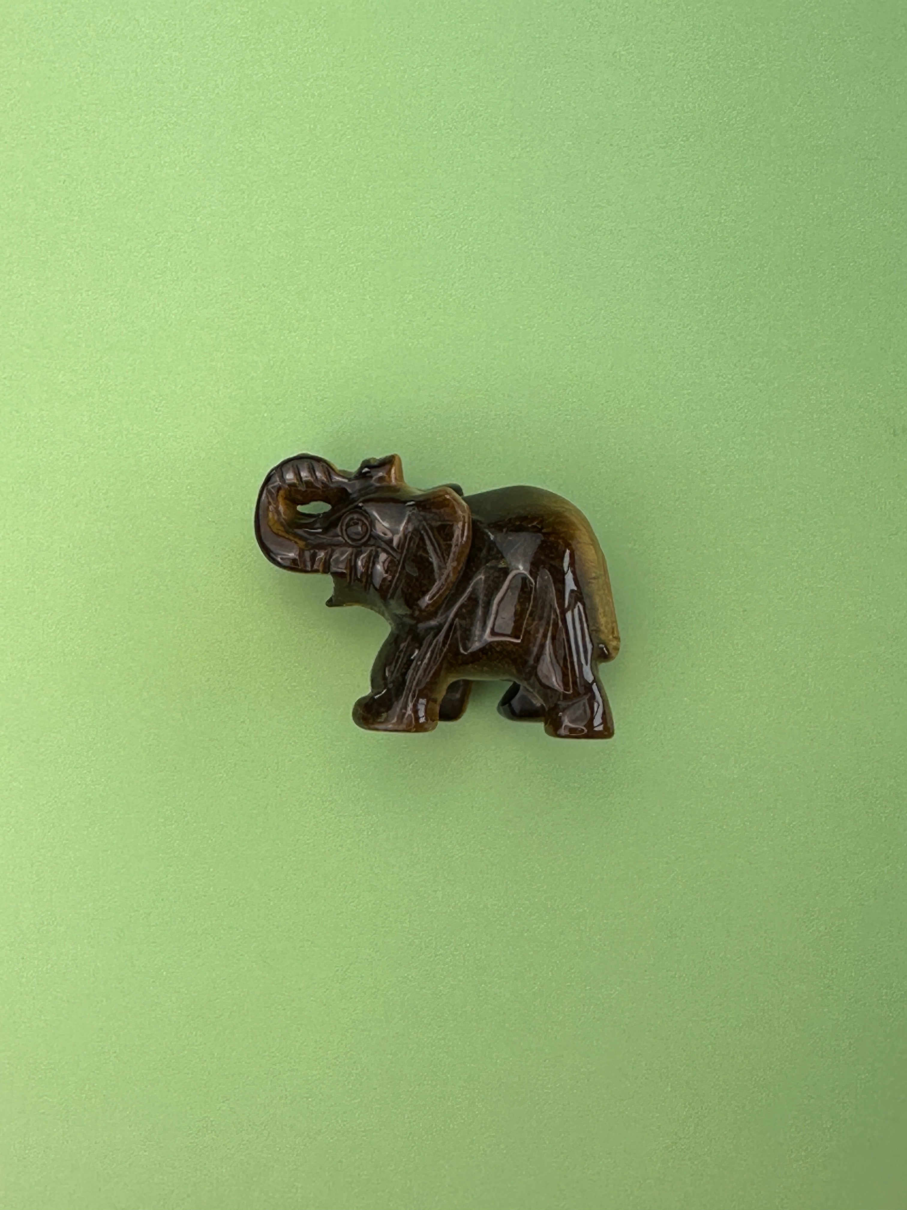 Tigers eye - Elephant