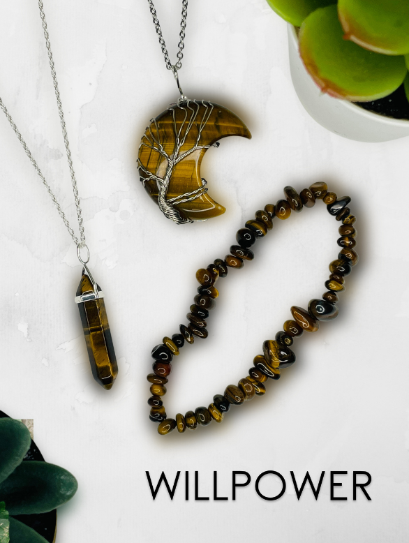 Willpower bundle