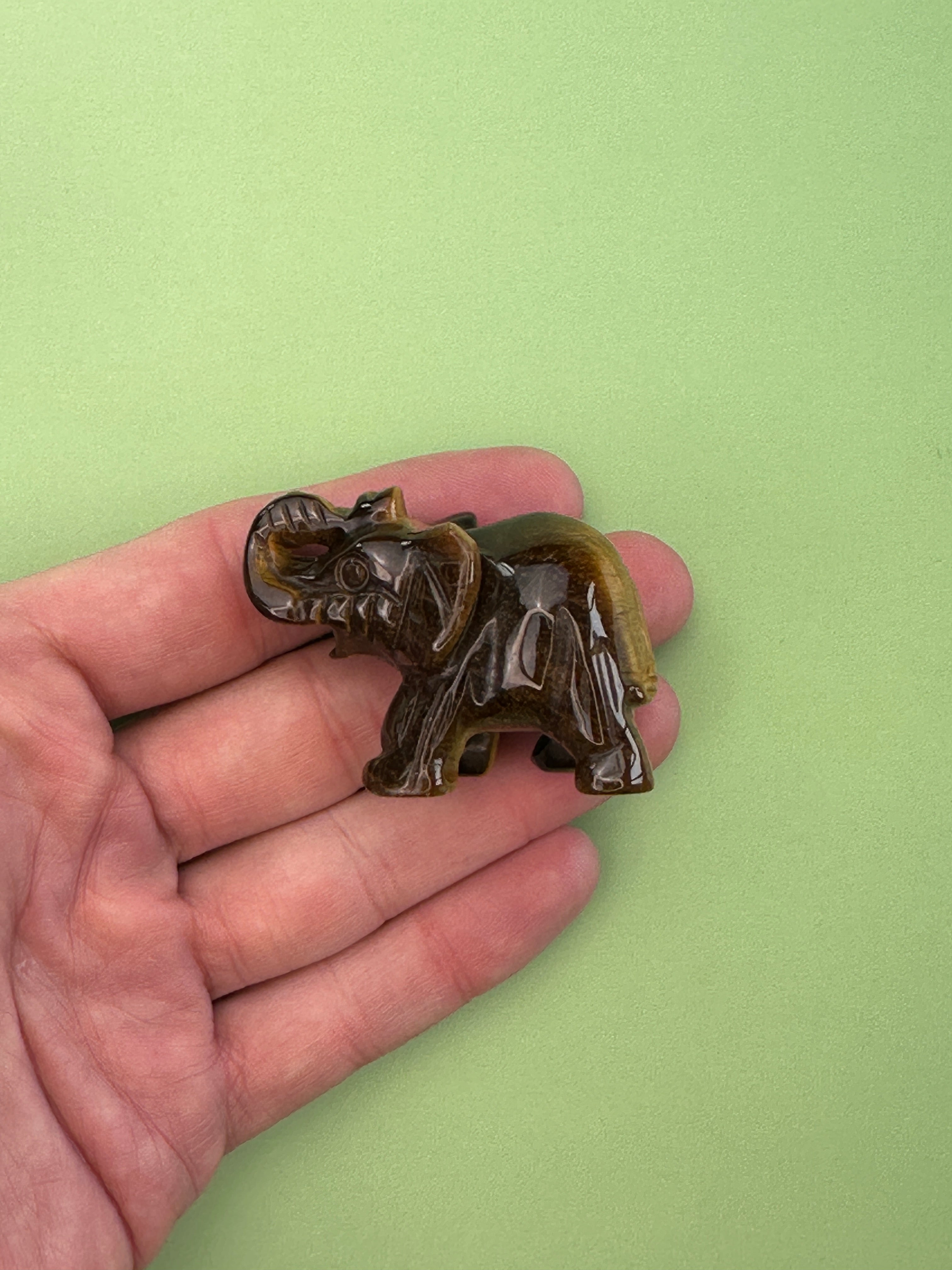 Tigers eye - Elephant