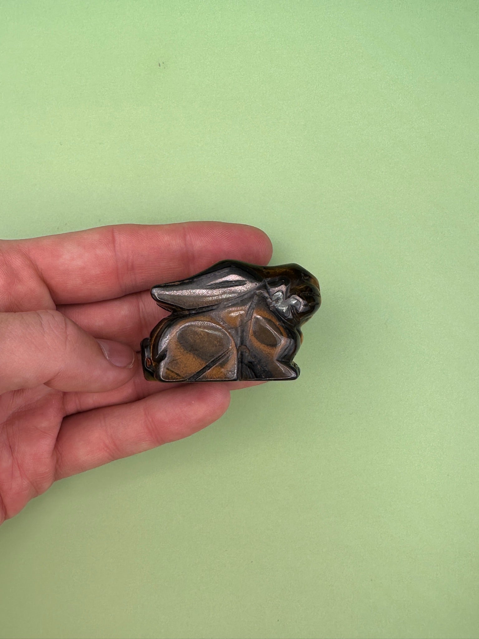 Tigers eye - Rabbit