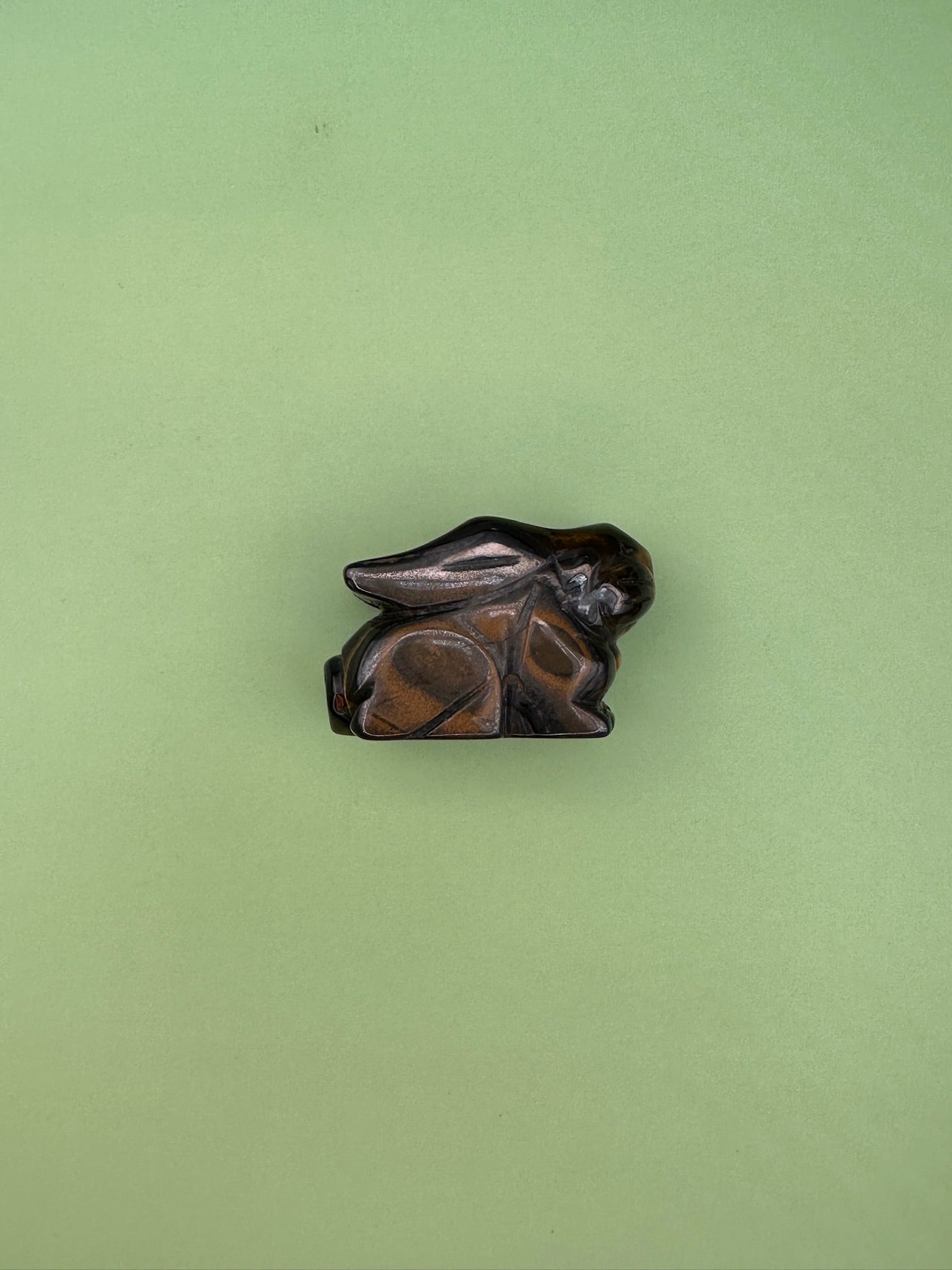 Tigers eye - Rabbit