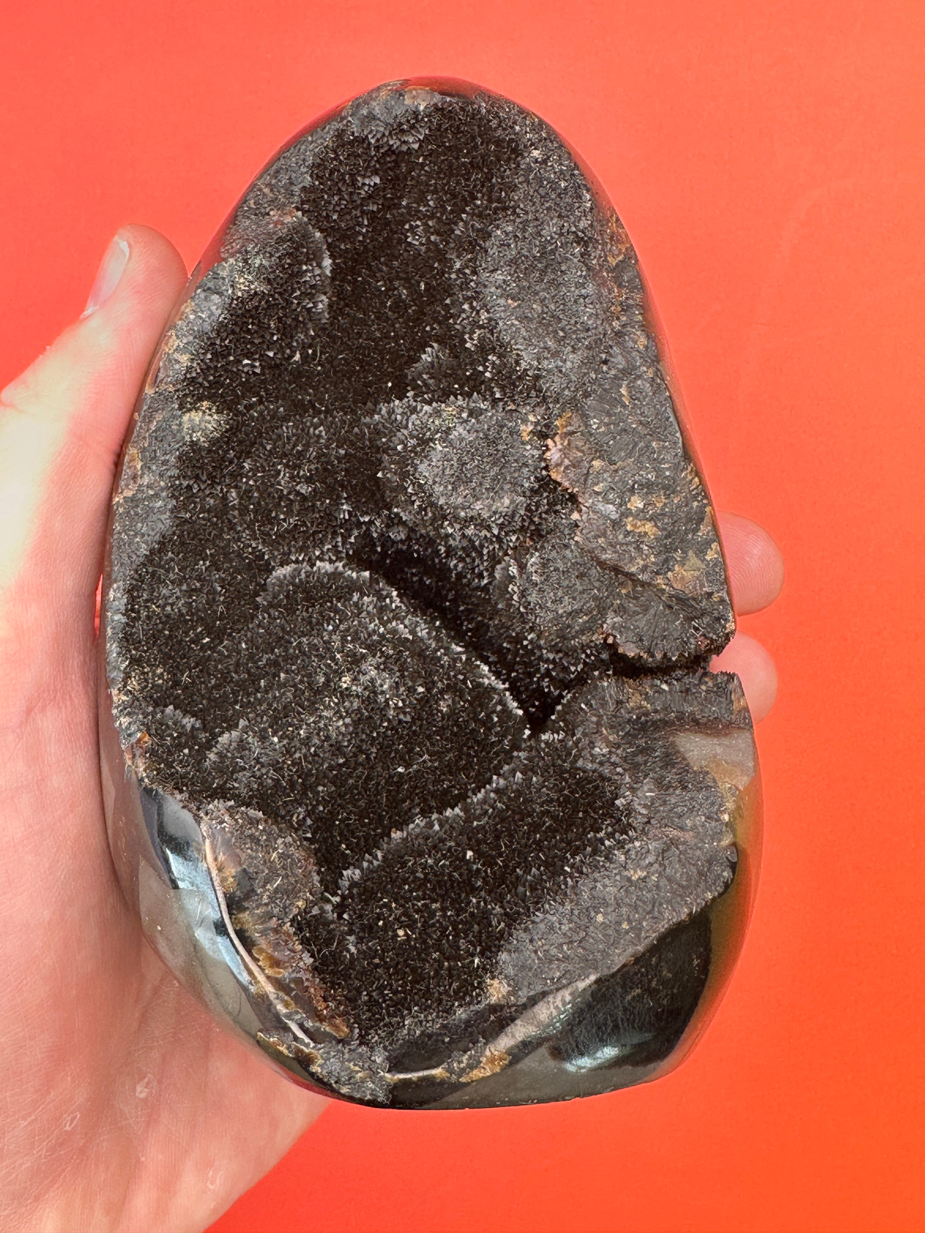 Septarian - Druzy free form
