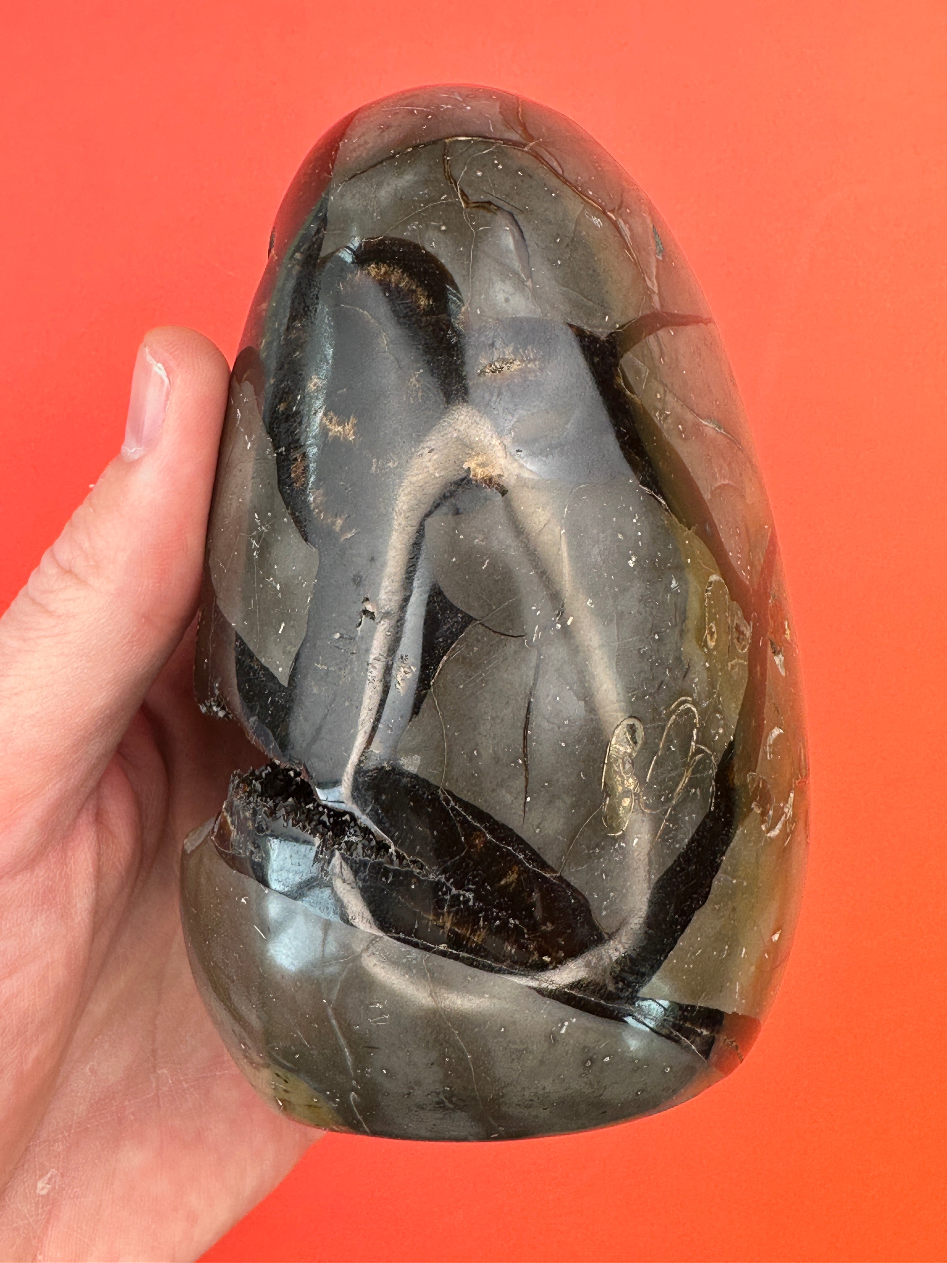 Septarian - Druzy free form