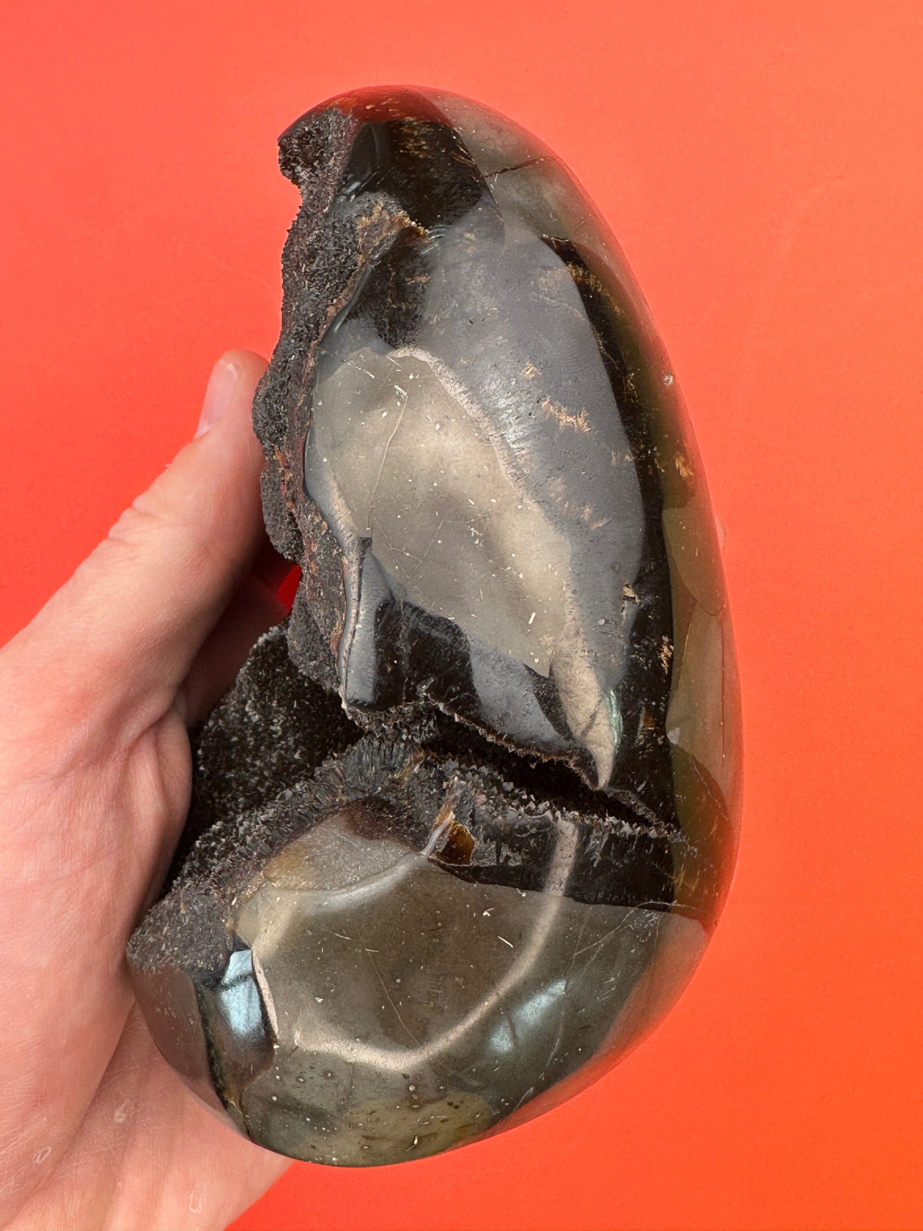 Septarian - Druzy free form
