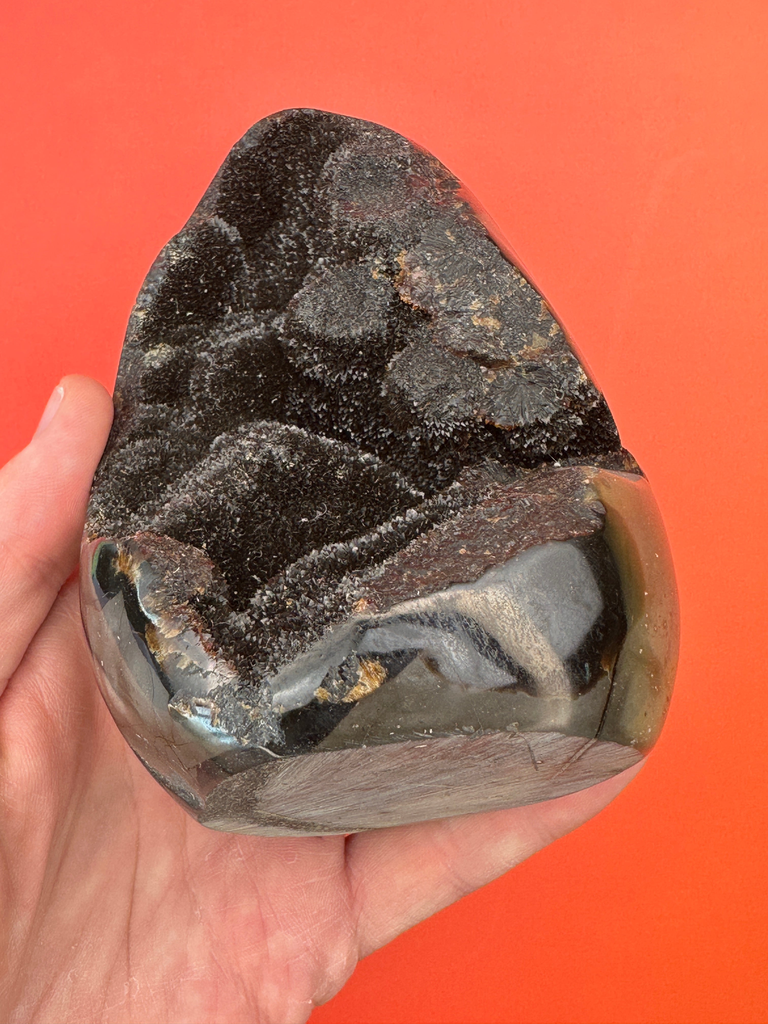 Septarian - Druzy free form