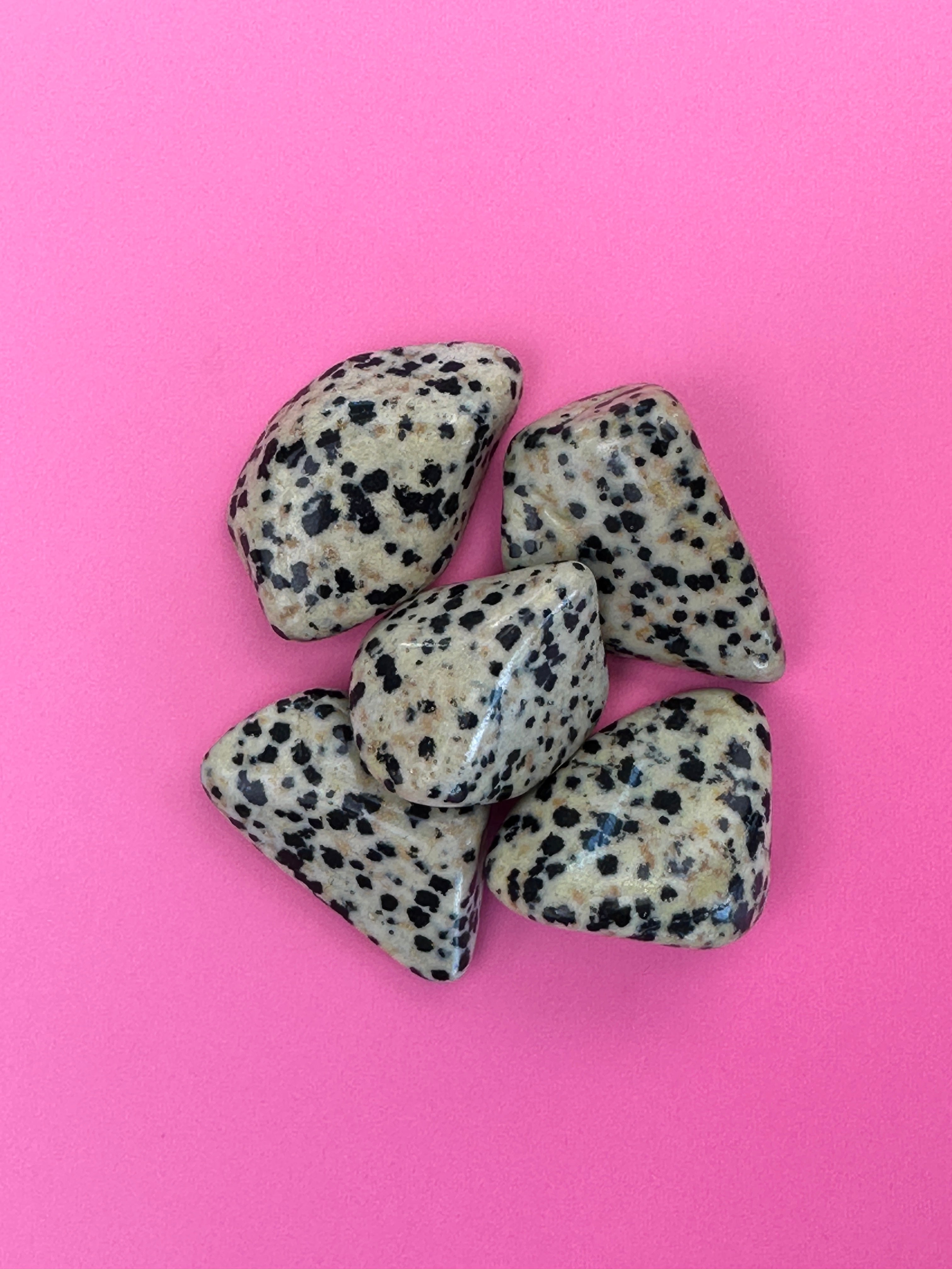 Dalmatian jasper - Tumblestone