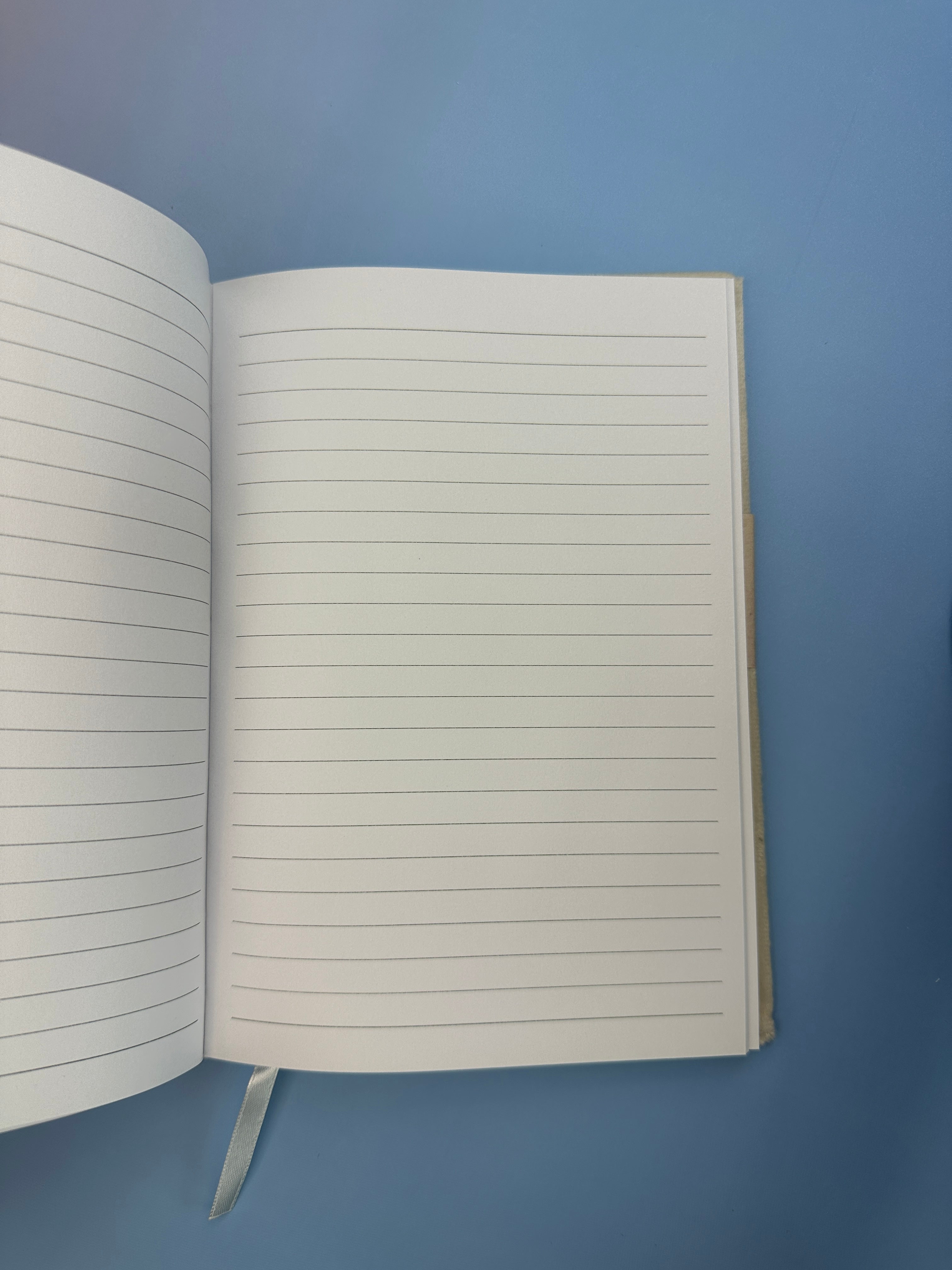 Manifestation moon journal - Velour padded cover