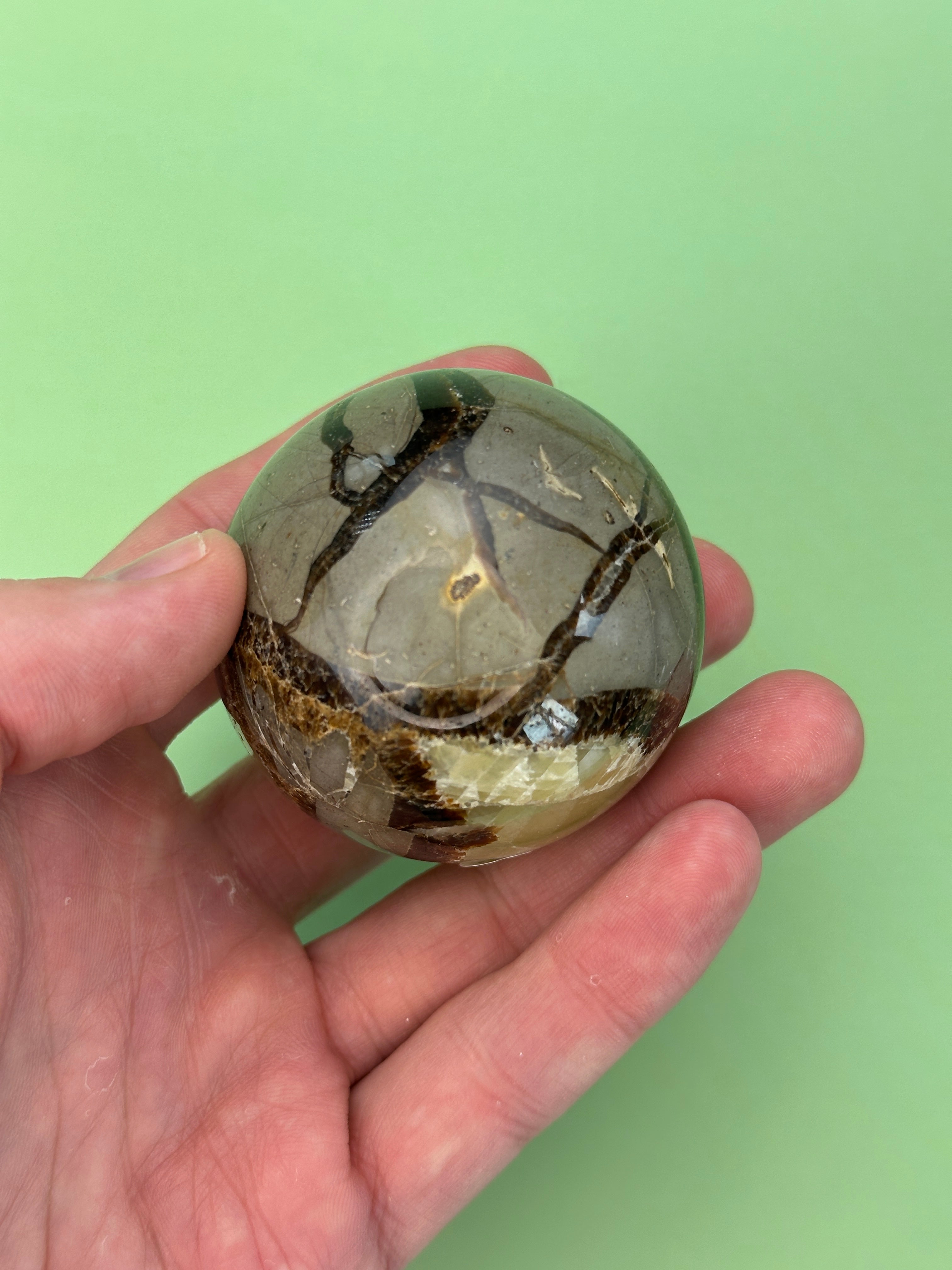 Septarian - Large sphere