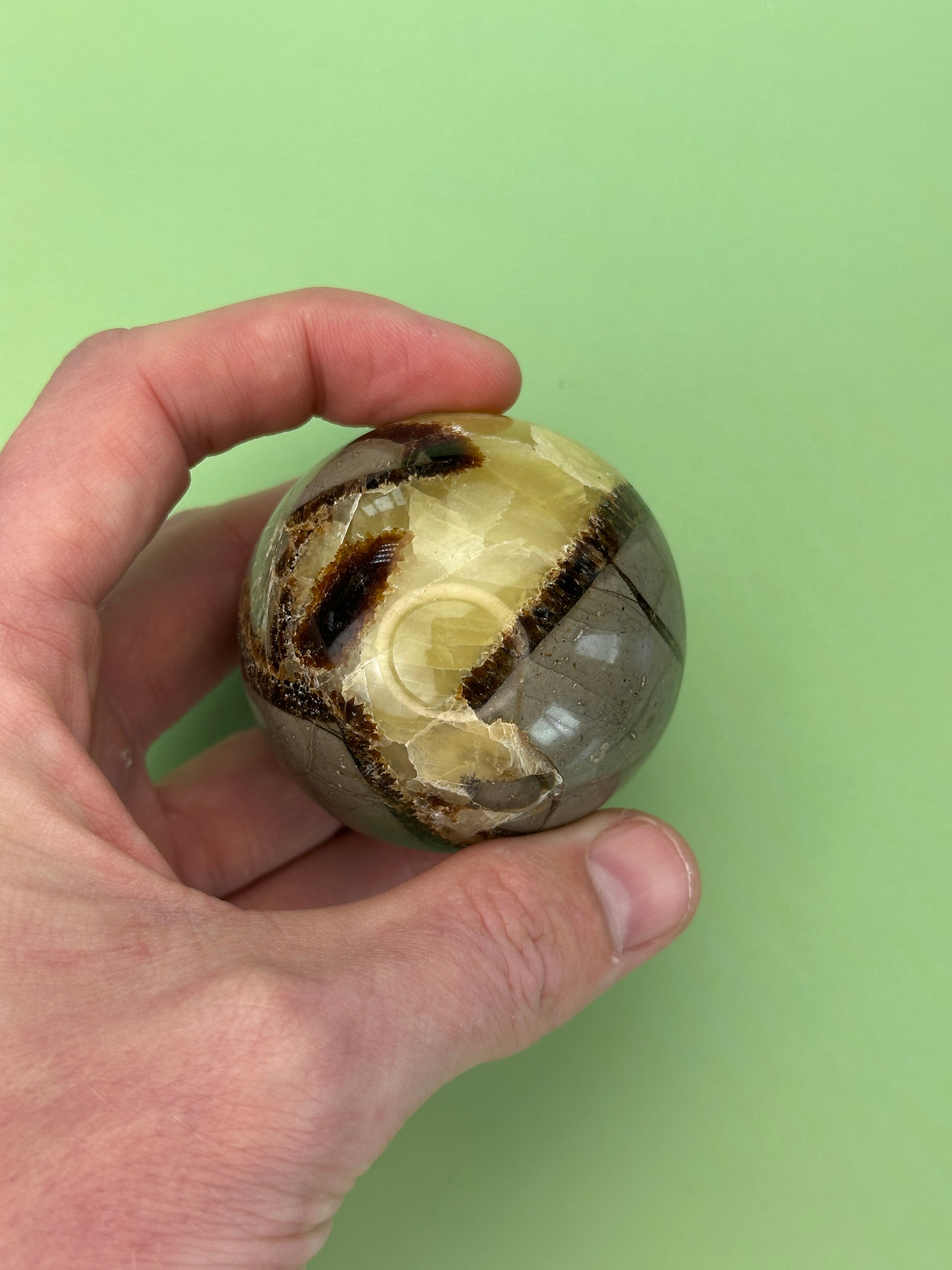 Septarian - Large sphere