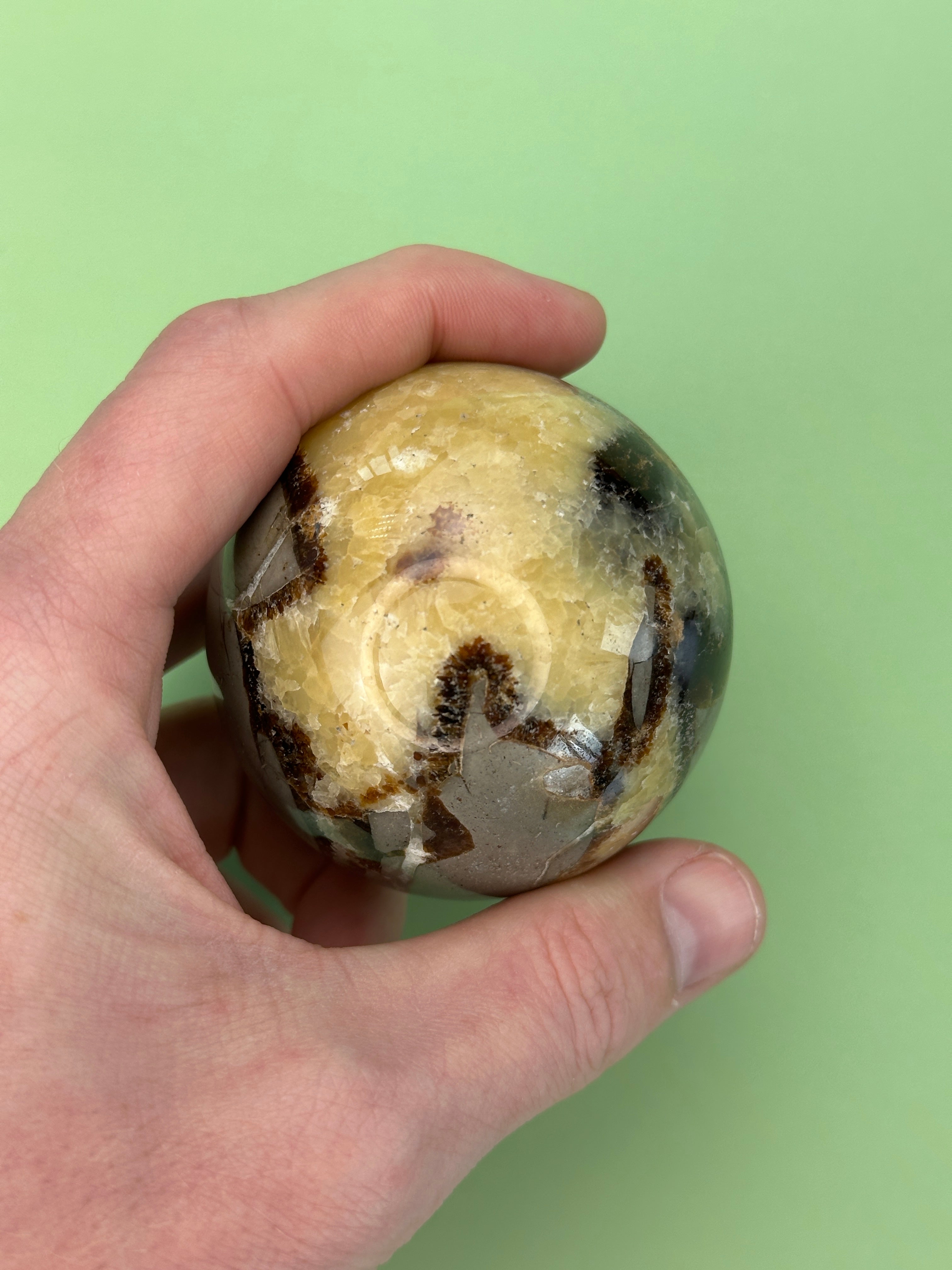 Septarian - XL Sphere