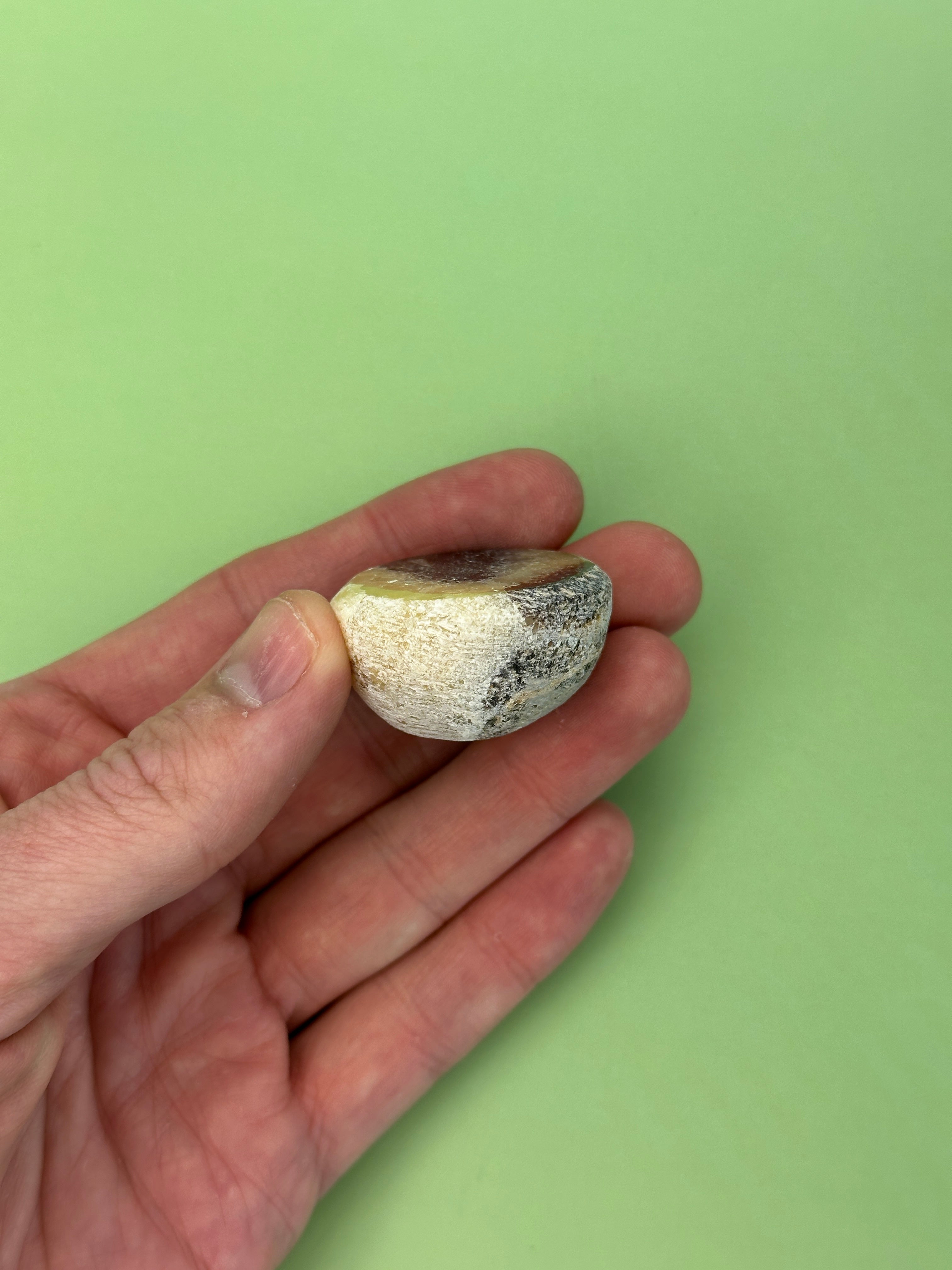 Septarian - Rough dragon egg