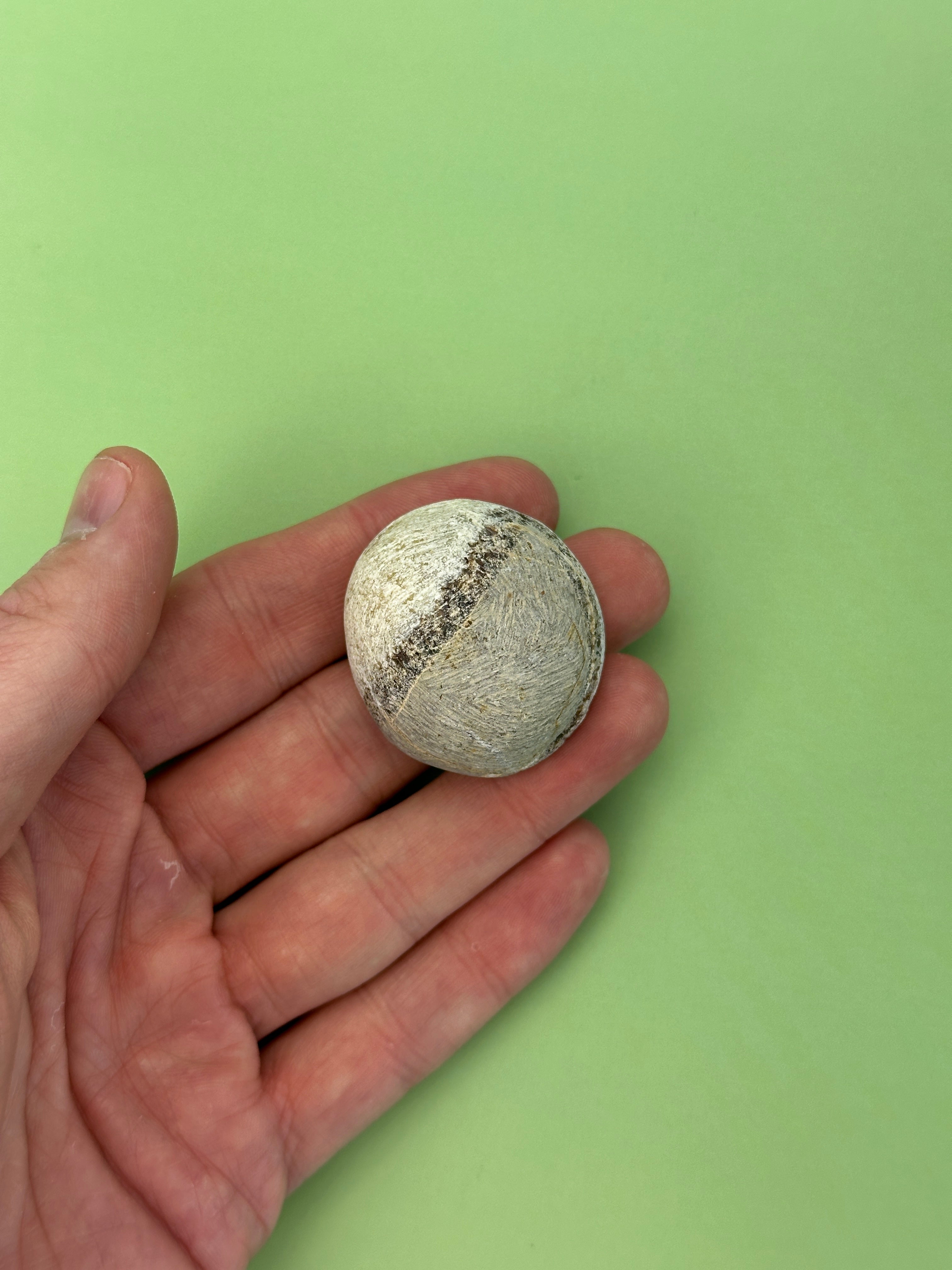 Septarian - Rough dragon egg