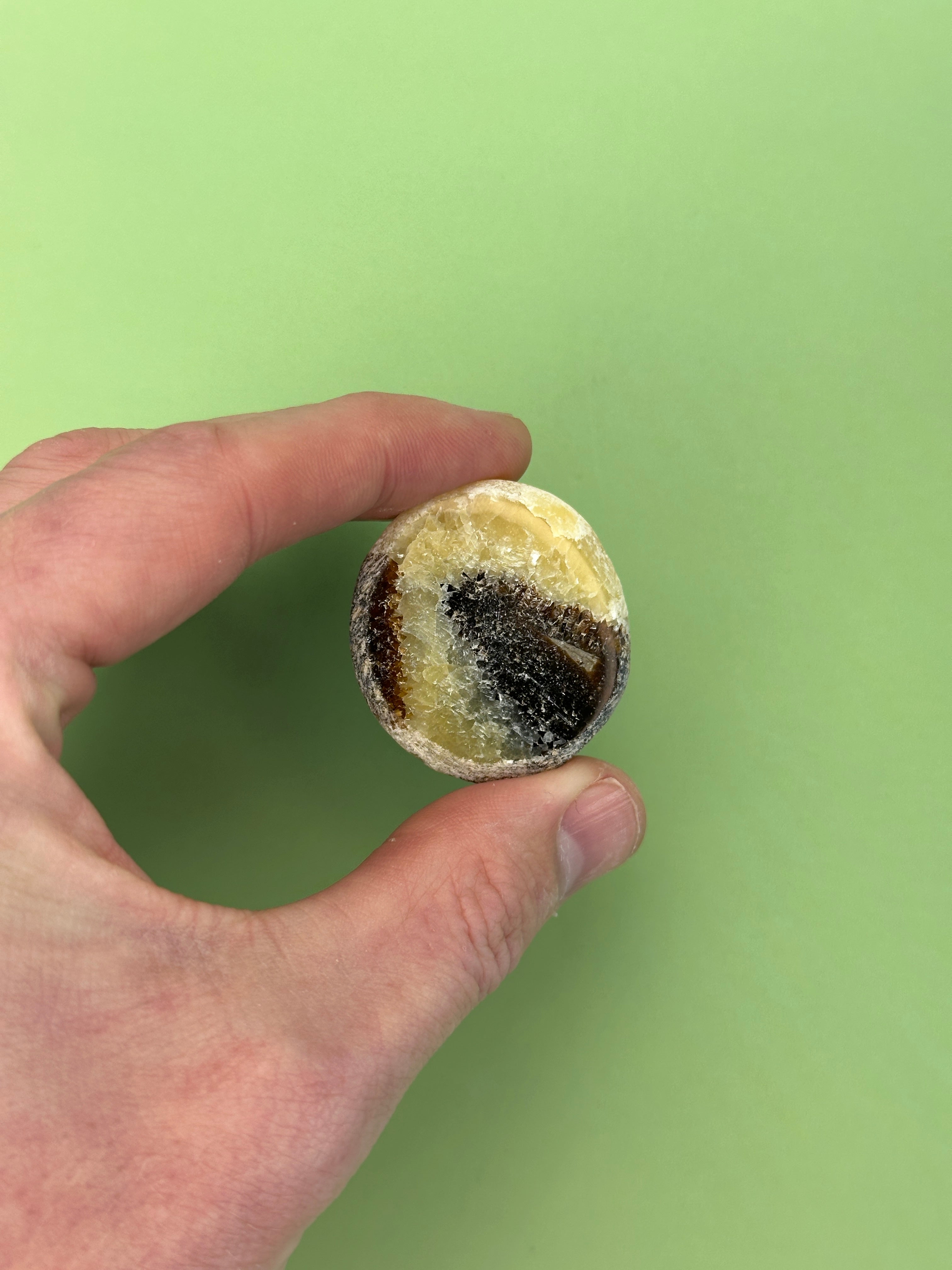 Septarian - Rough dragon egg