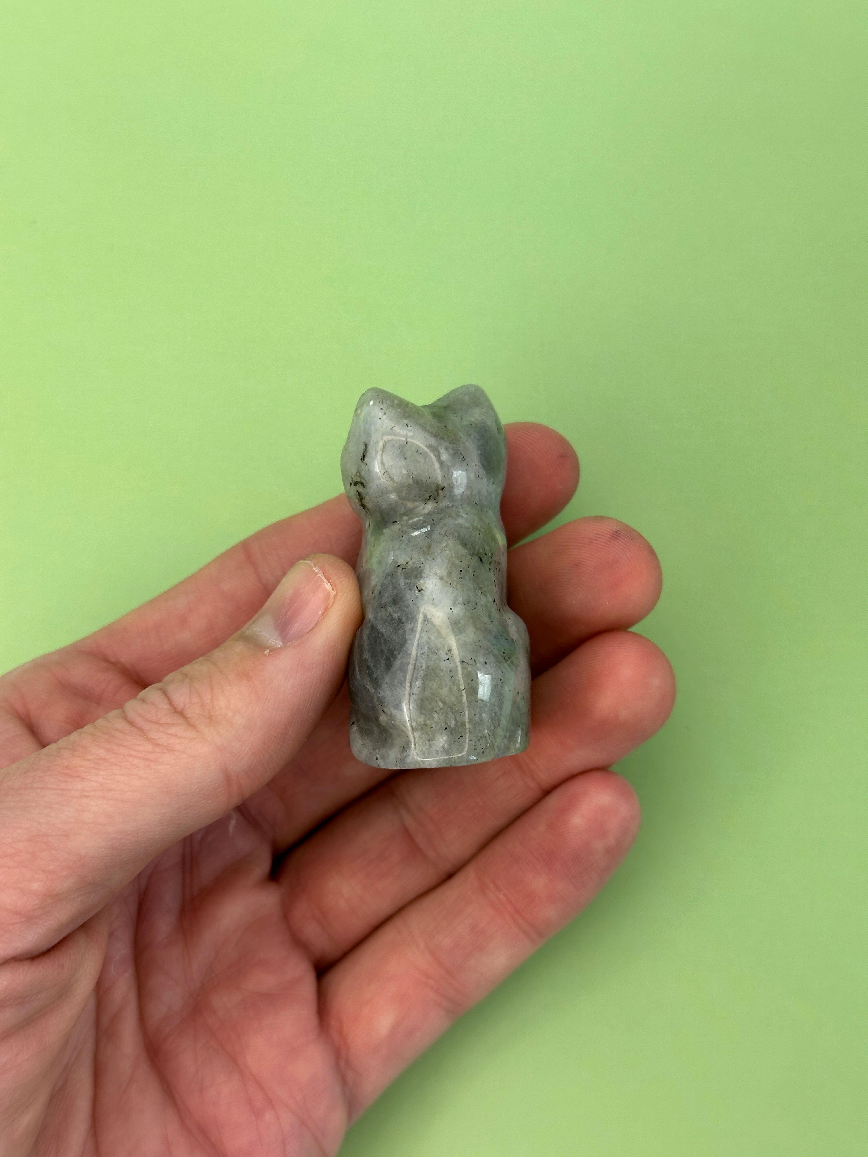 Labradorite - Cat