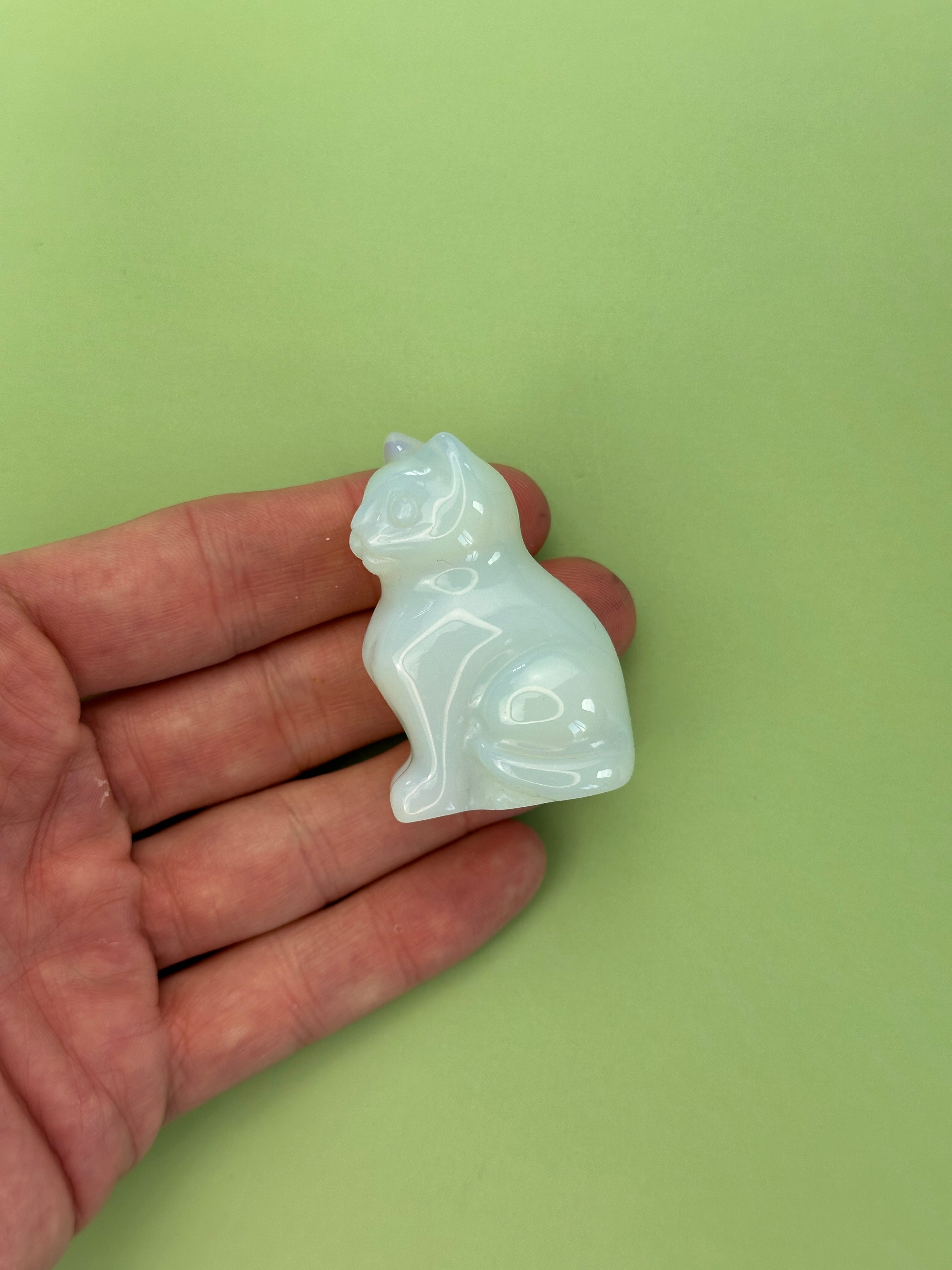Opalite - Cat