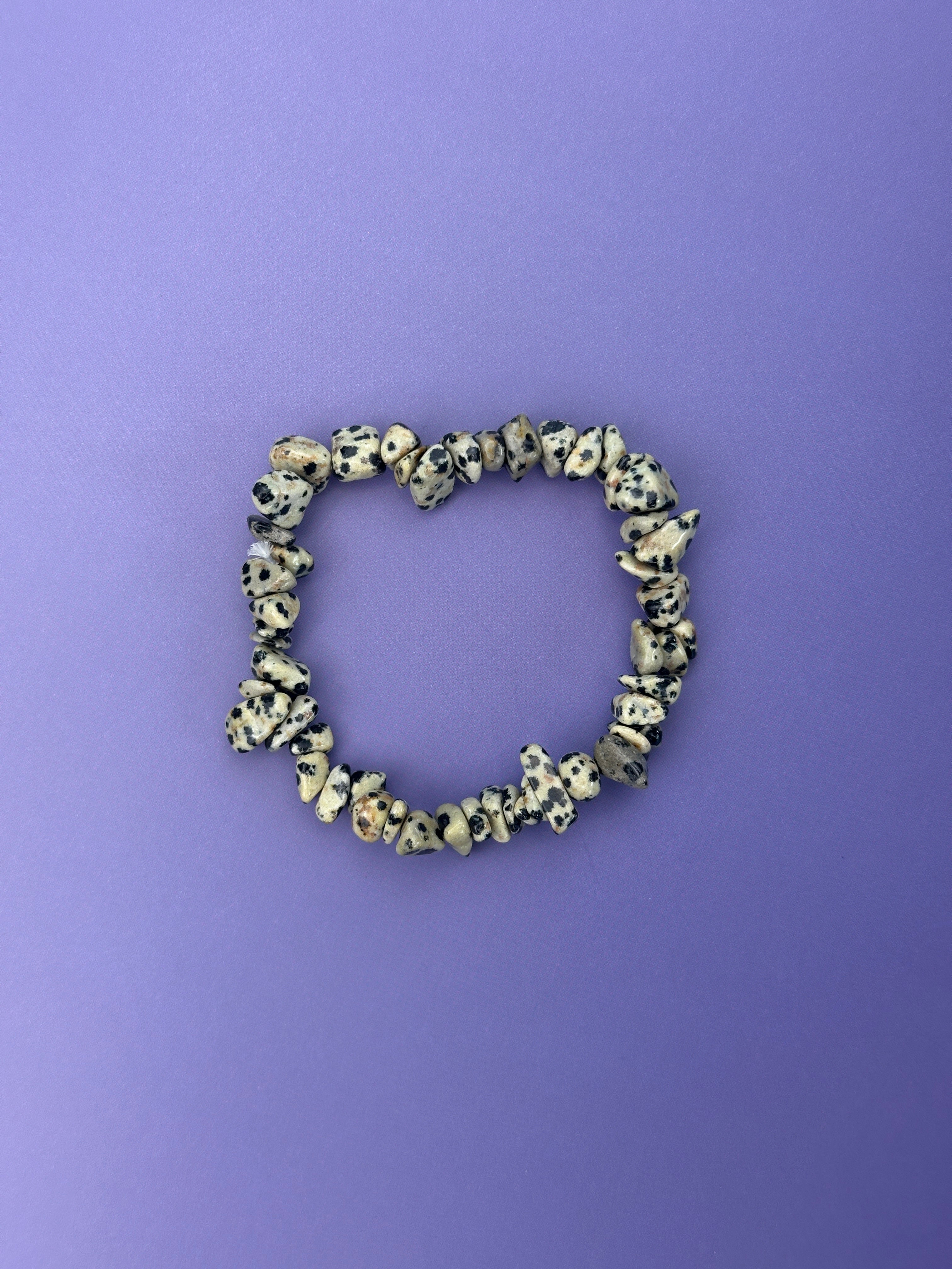 Dalmatian jasper - Crystal chip bracelet