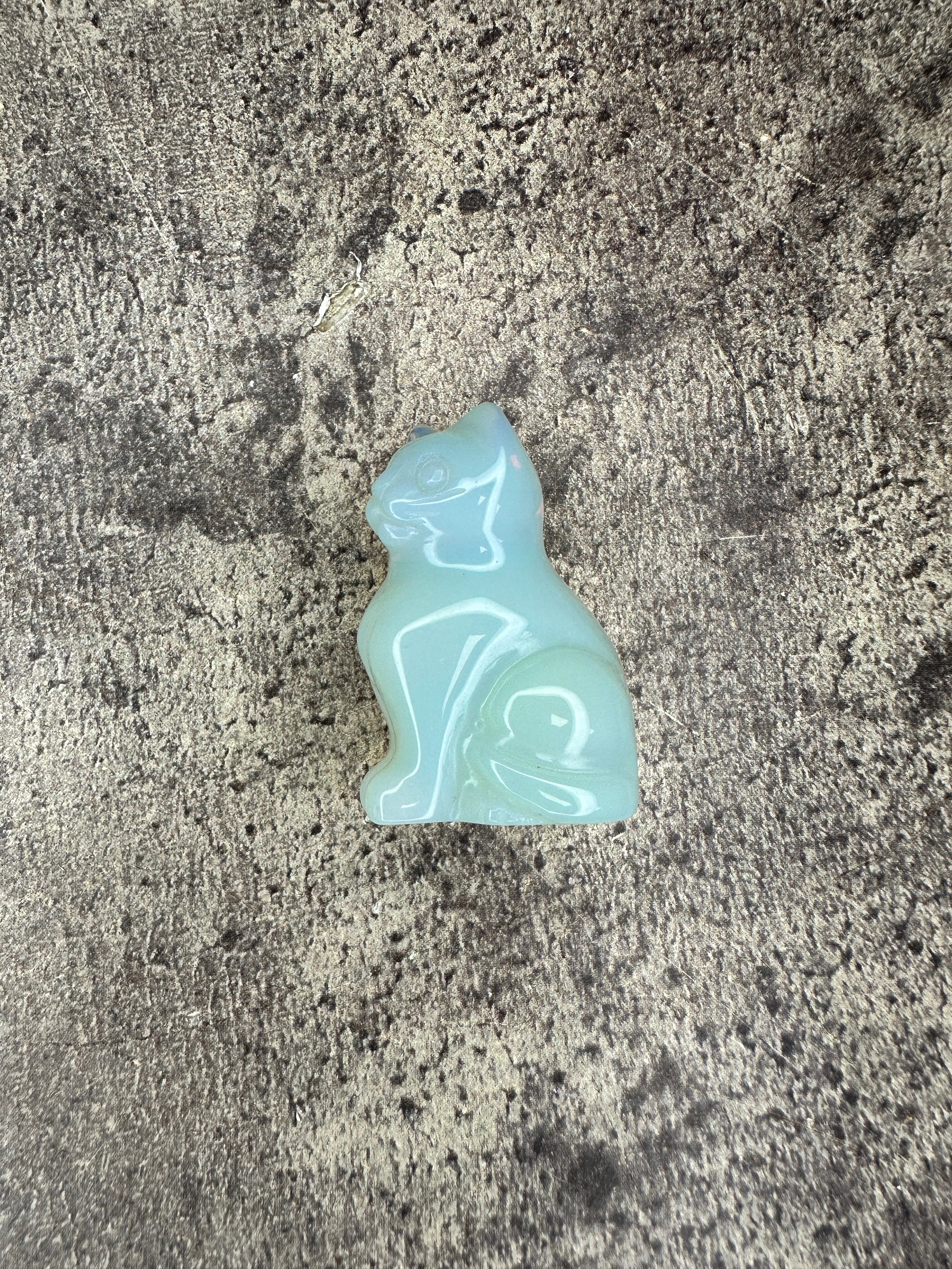 Opalite - Cat