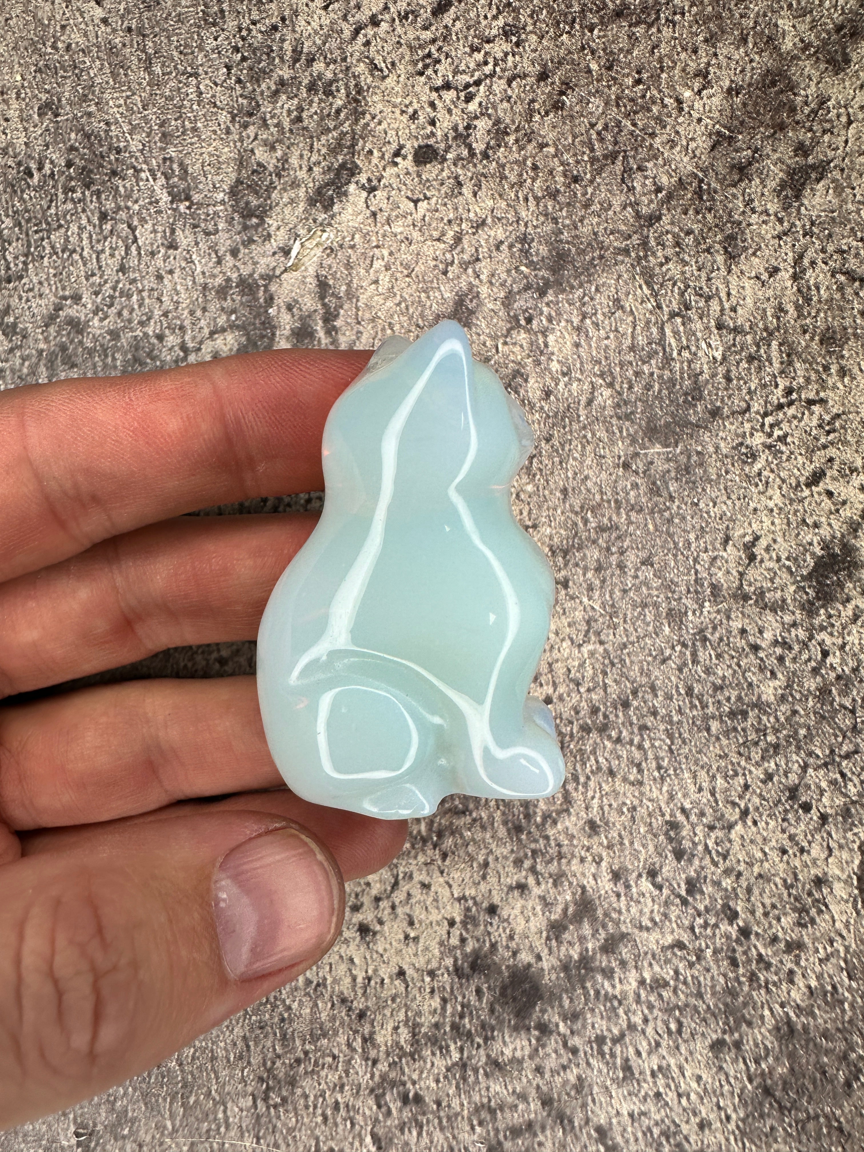 Opalite - Cat