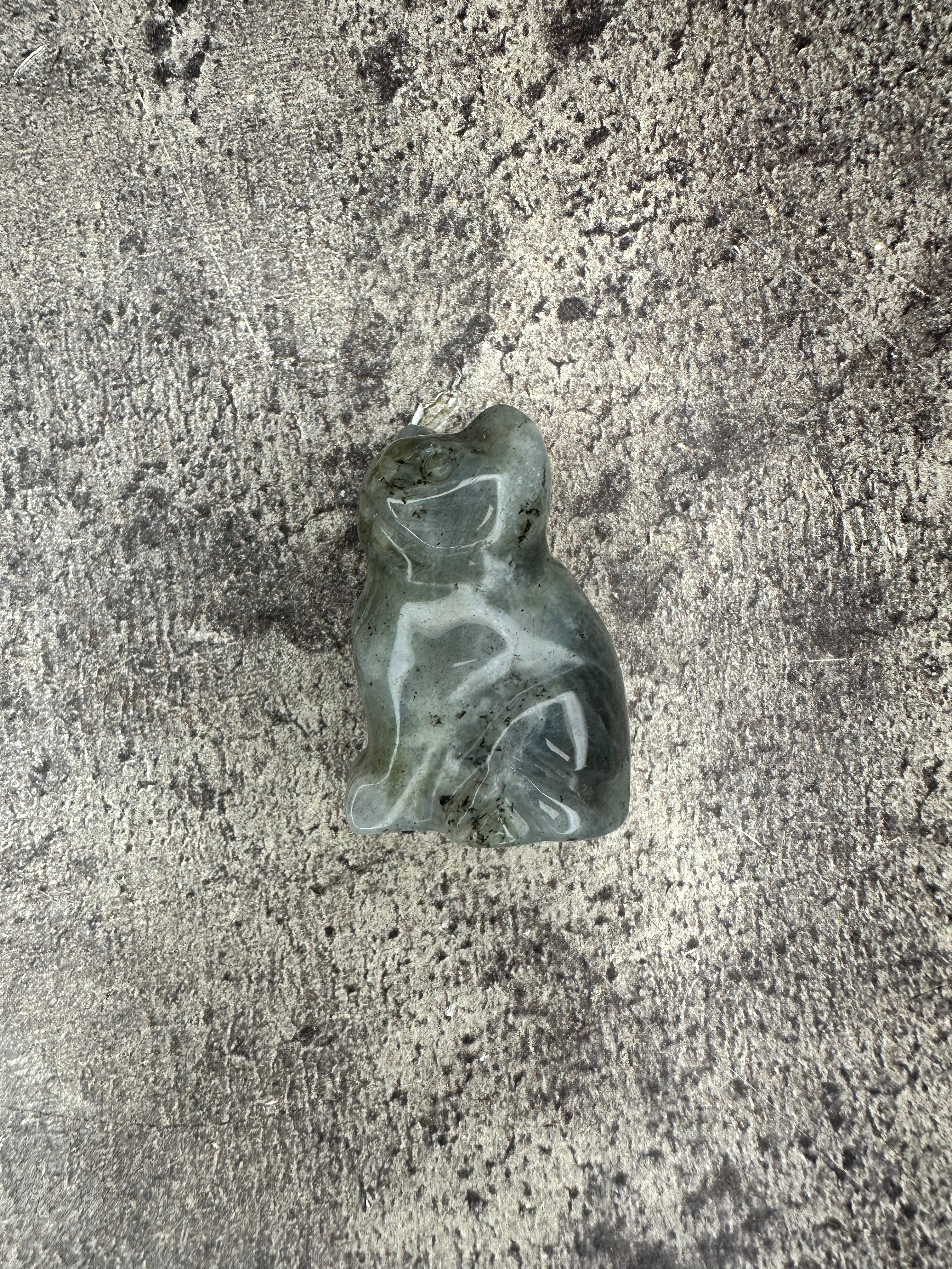 Labradorite - Cat
