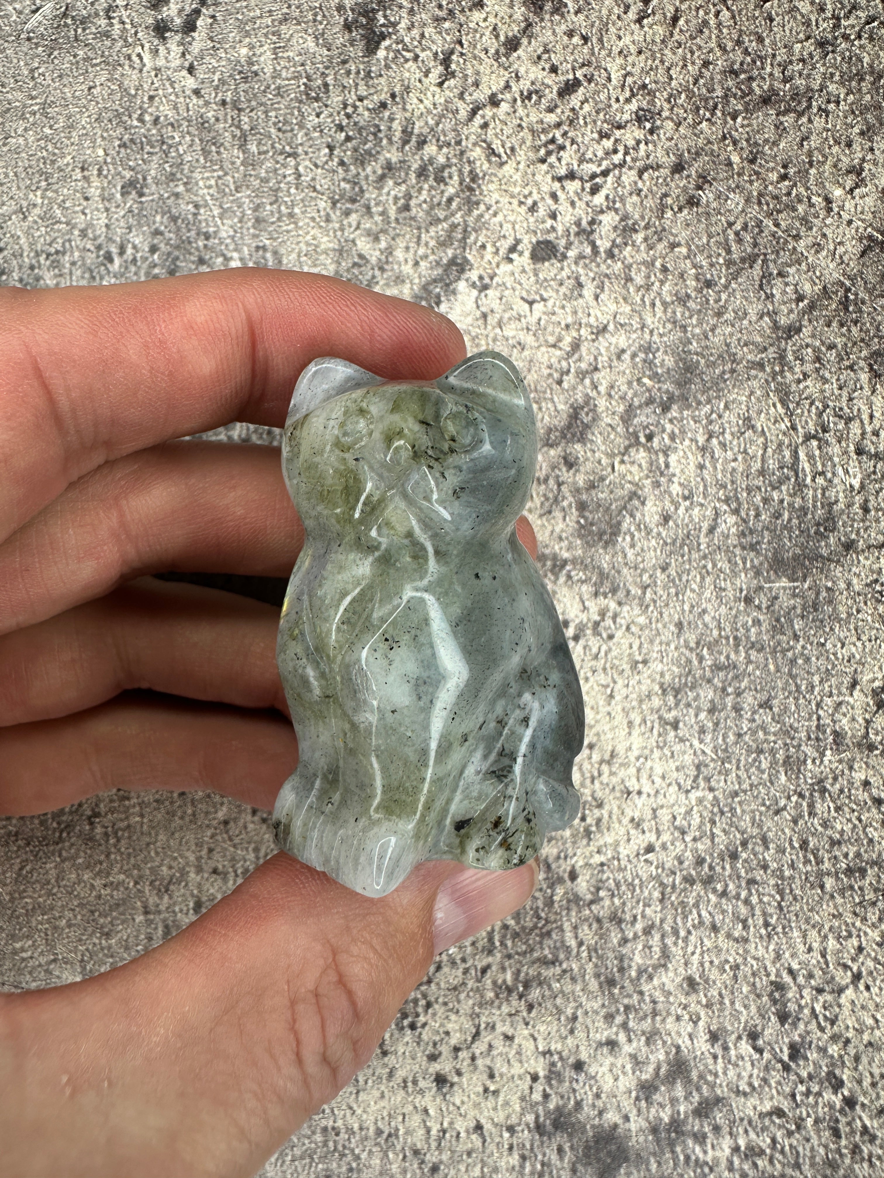 Labradorite - Cat