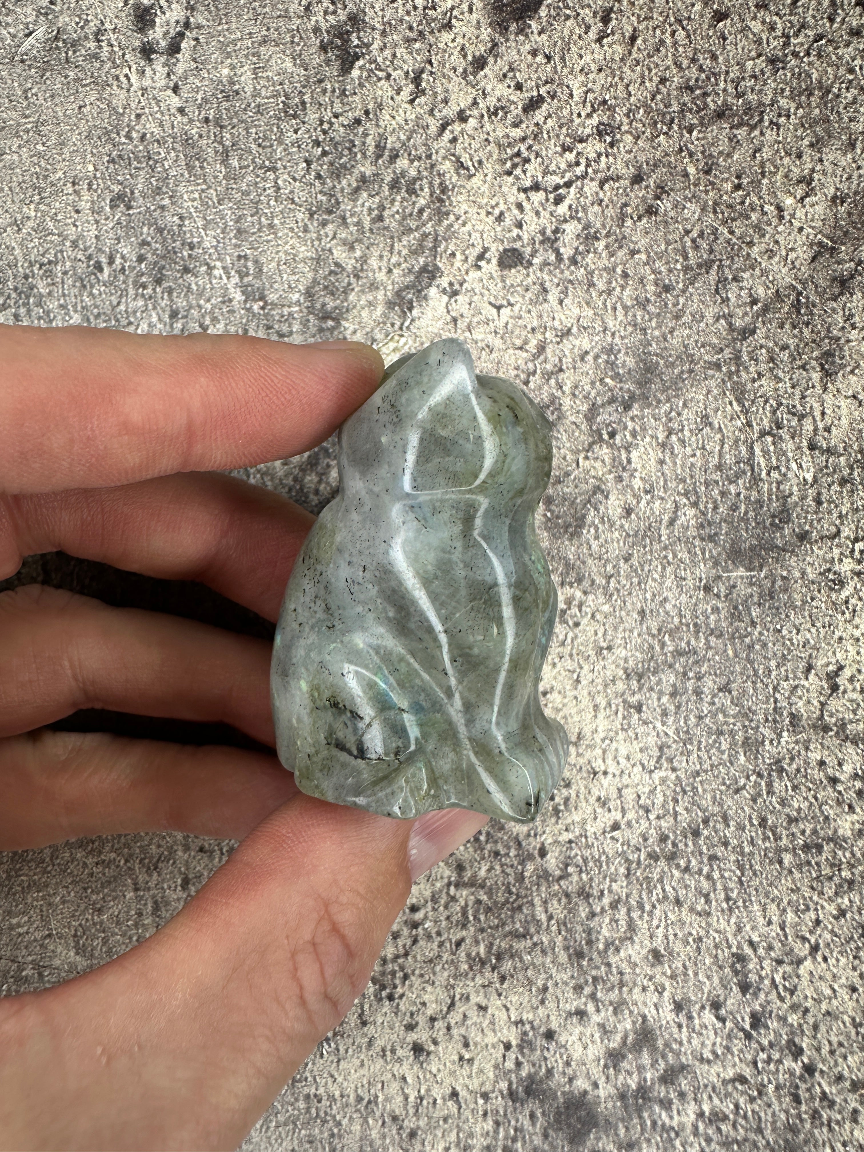 Labradorite - Cat