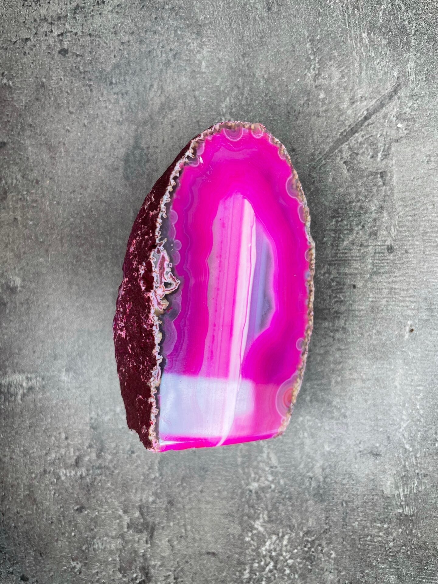 image_0ea8b697-f91d-42fe-bf1d-53cbd940f9b2