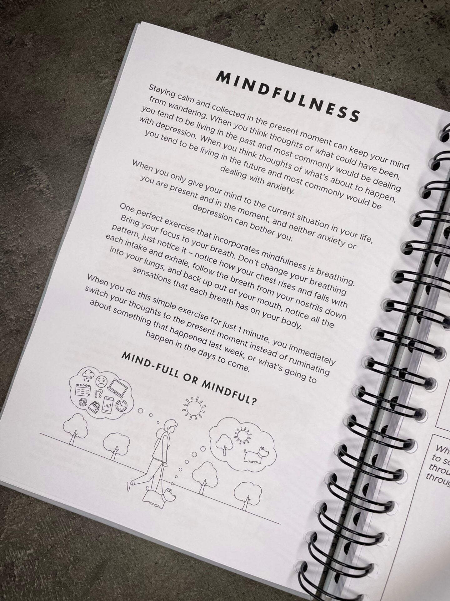 image_17a0dd83-f3a5-41f0-a796-b1e961774316