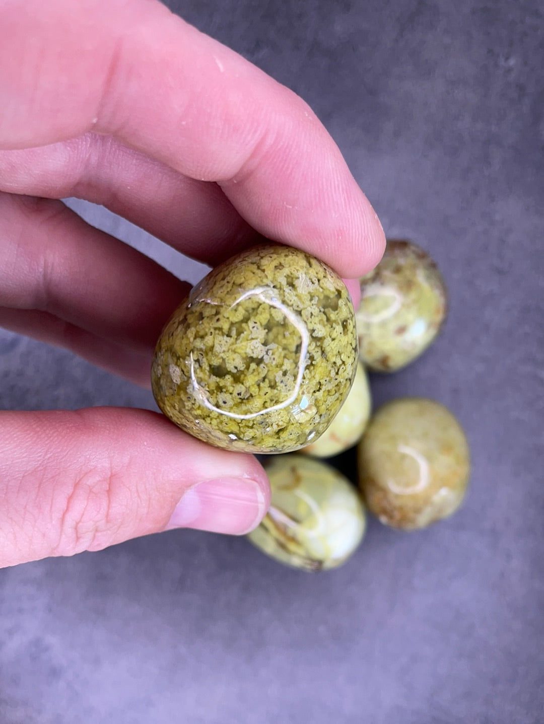 image_19308c09-a87c-49fa-afdb-aed45f0245ce