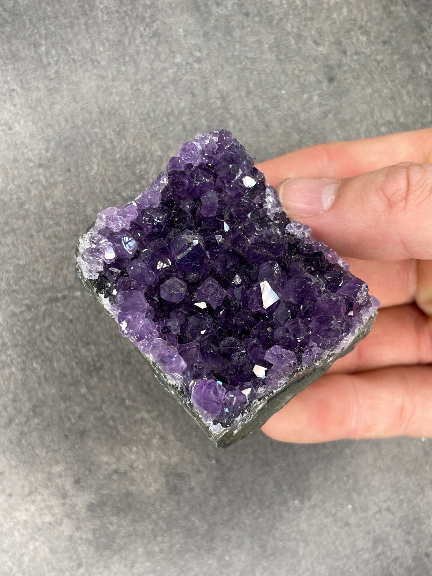 image_48ac24a0-66c1-4bfc-acb3-8421d9db44e9