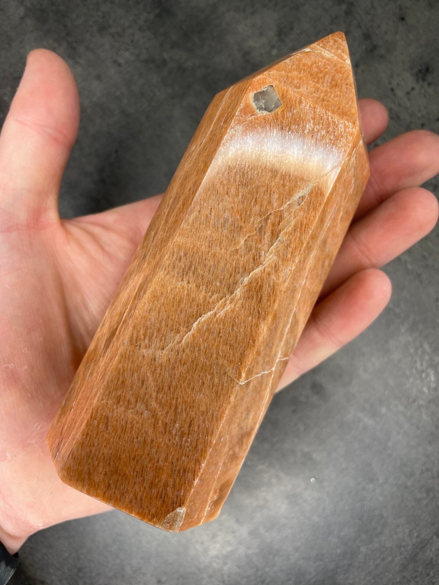 image_492ebc46-a5ff-4eea-88ea-76f20e60d2c6