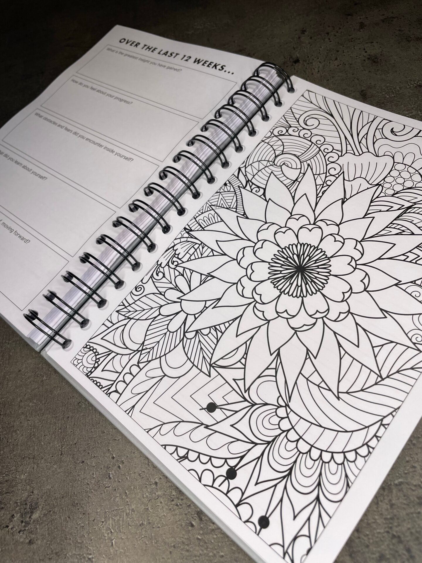 image_7d93eeb2-4623-4b2d-a929-8a14bee1388e