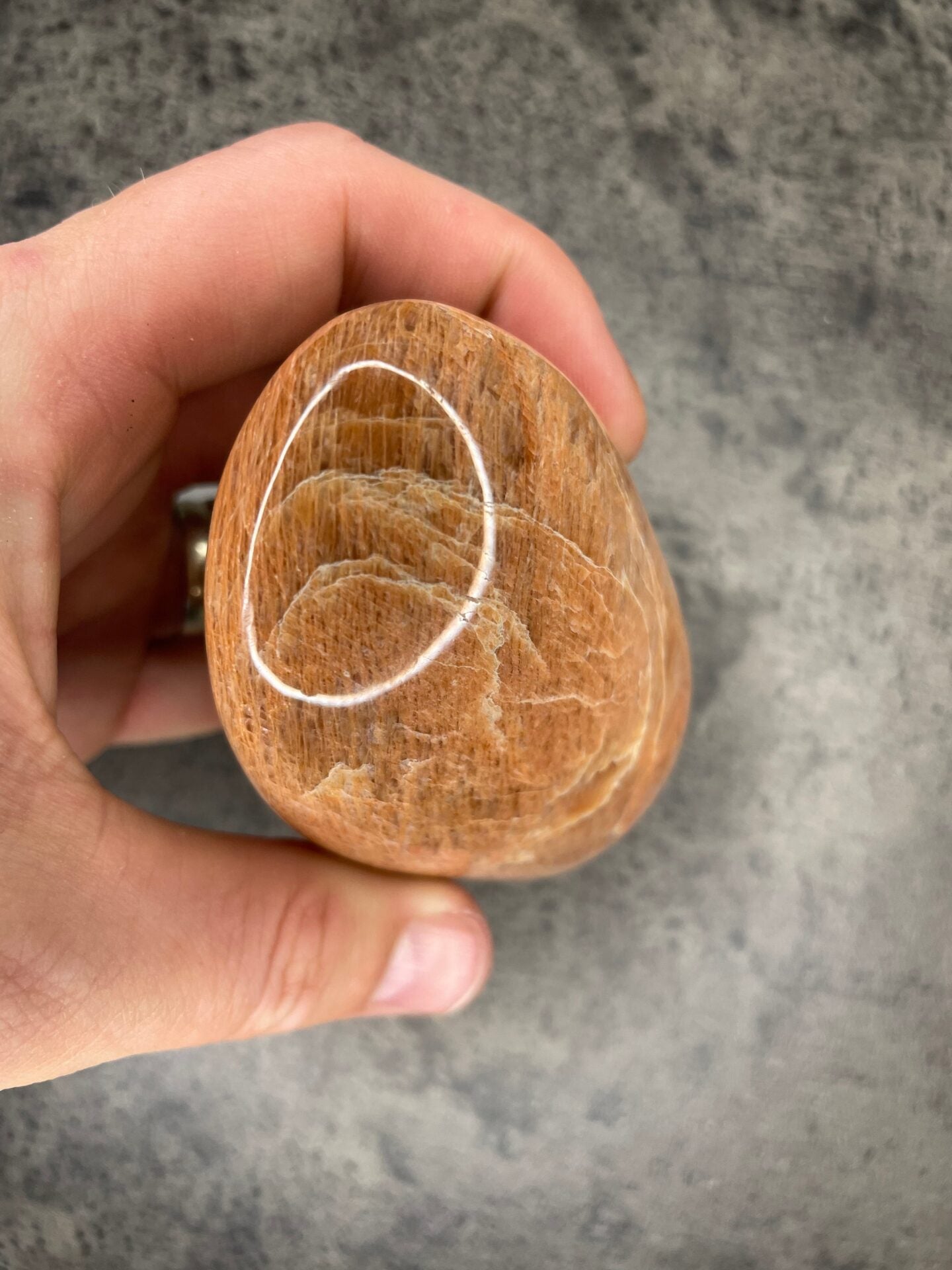 image_9d9b8177-cdae-416b-bccf-cb2f948a778c