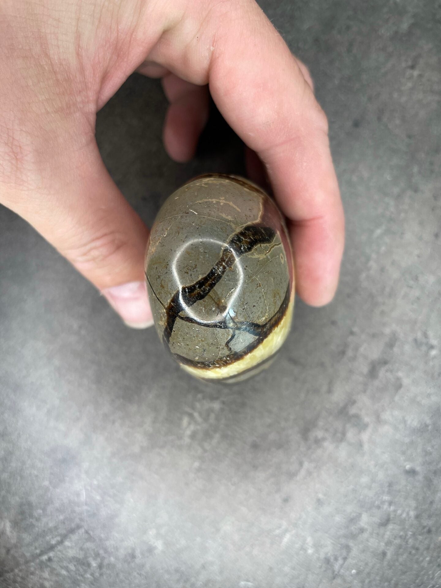 image_a31080e1-87da-4854-bec7-bd00c3048b64