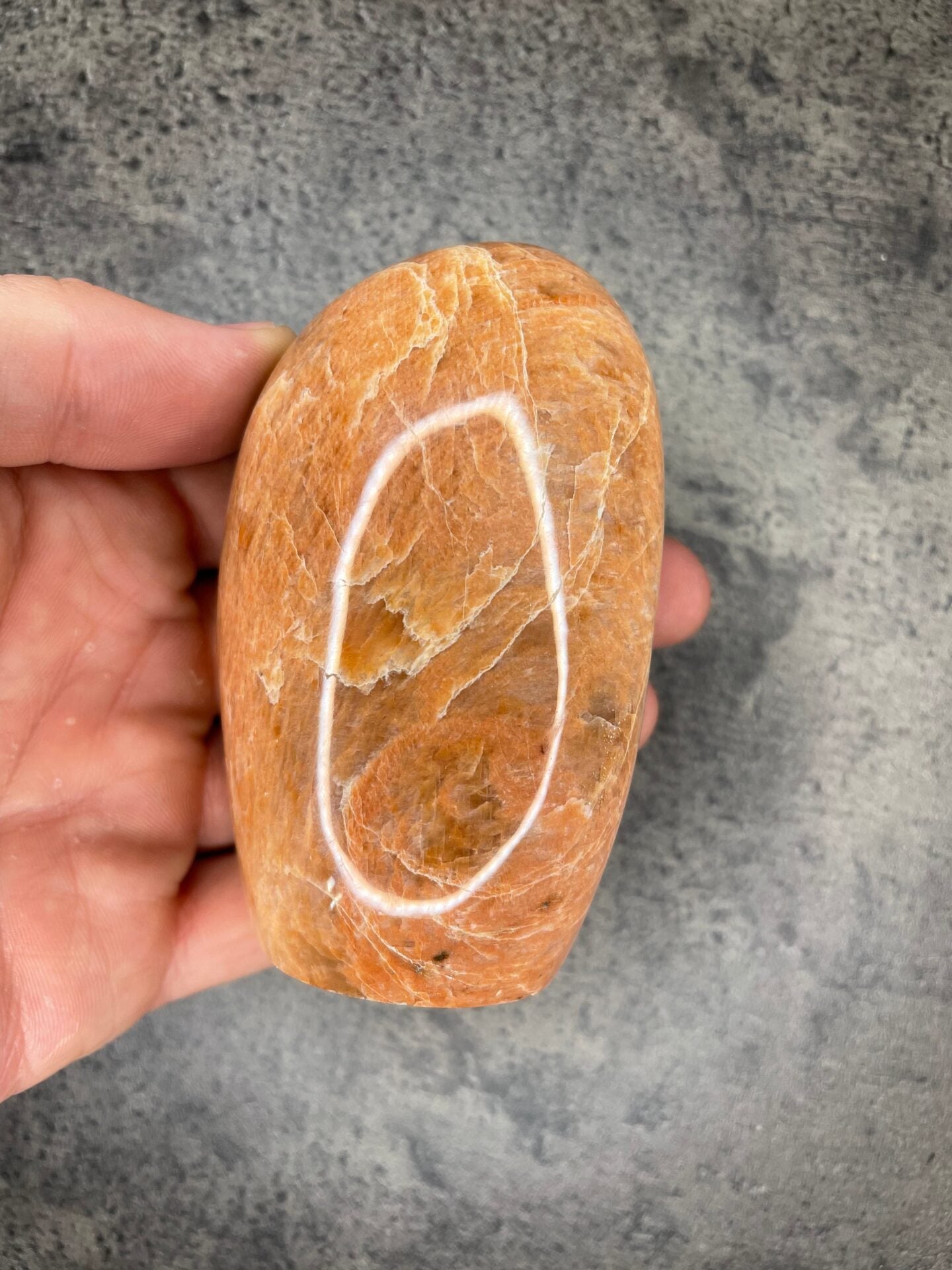 image_f75c401a-b089-4ade-a349-0fb7c2b128a4