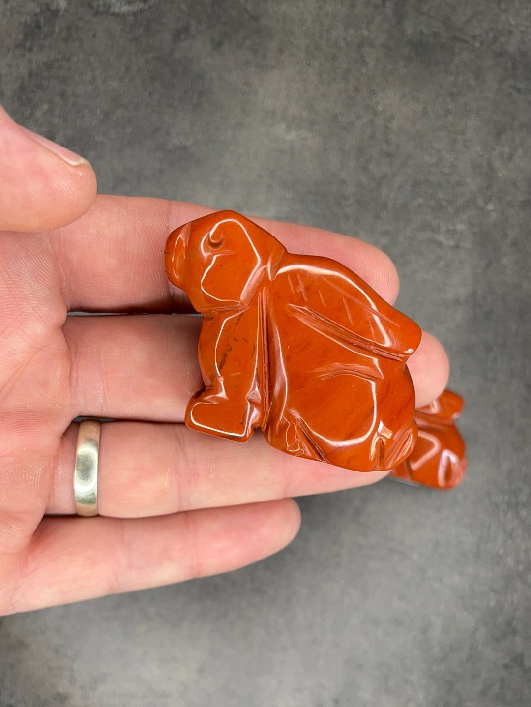 image_faa72dde-8d5b-48ad-ab12-6ce988146220