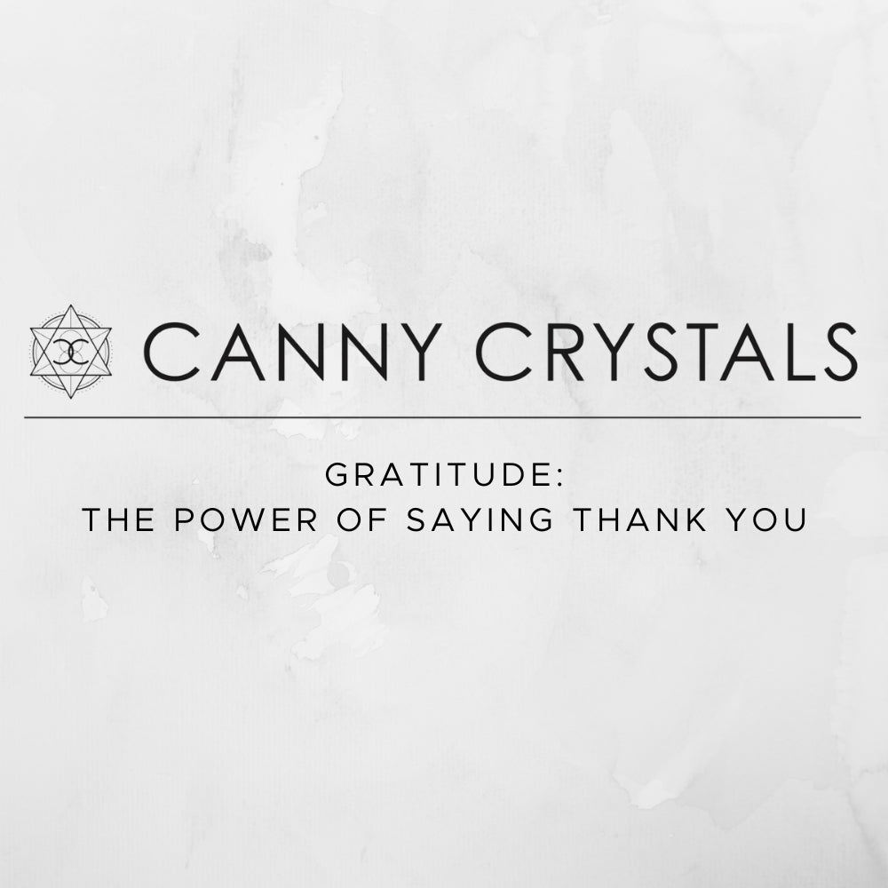 Gratitude: The Power of Saying Thank You