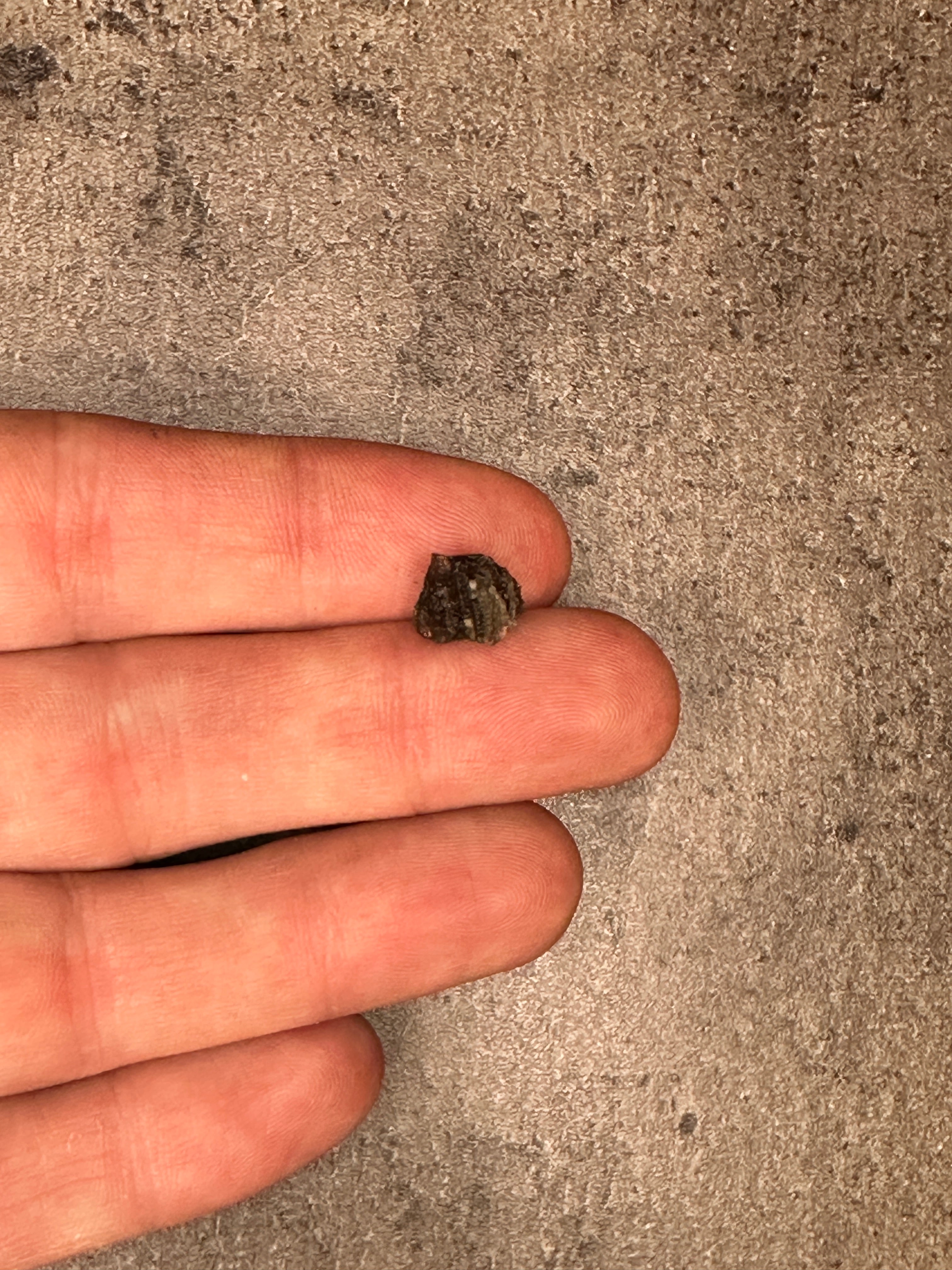 Moldavite - Rough/raw pieces