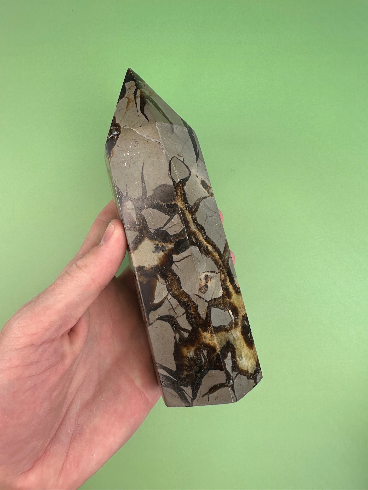 Septarian - XL Tower