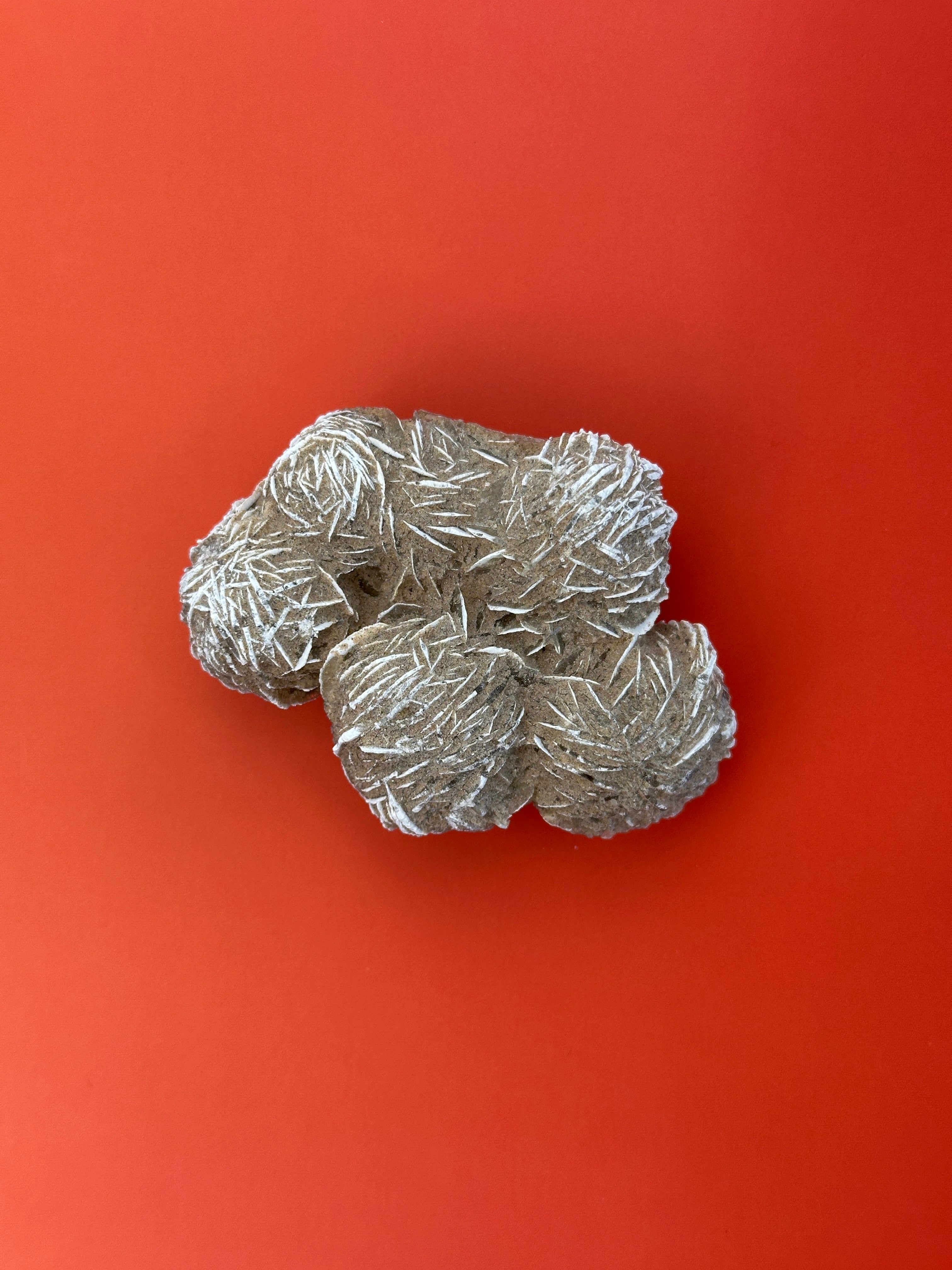 Desert rose - XL Raw cluster