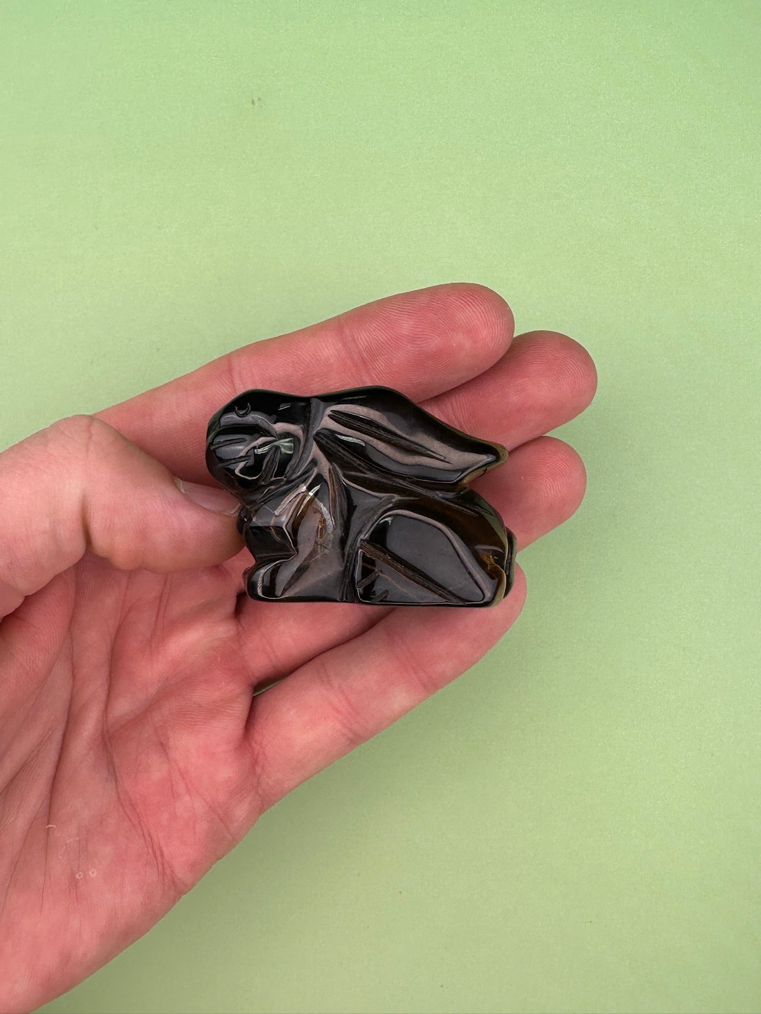Tigers eye - Rabbit