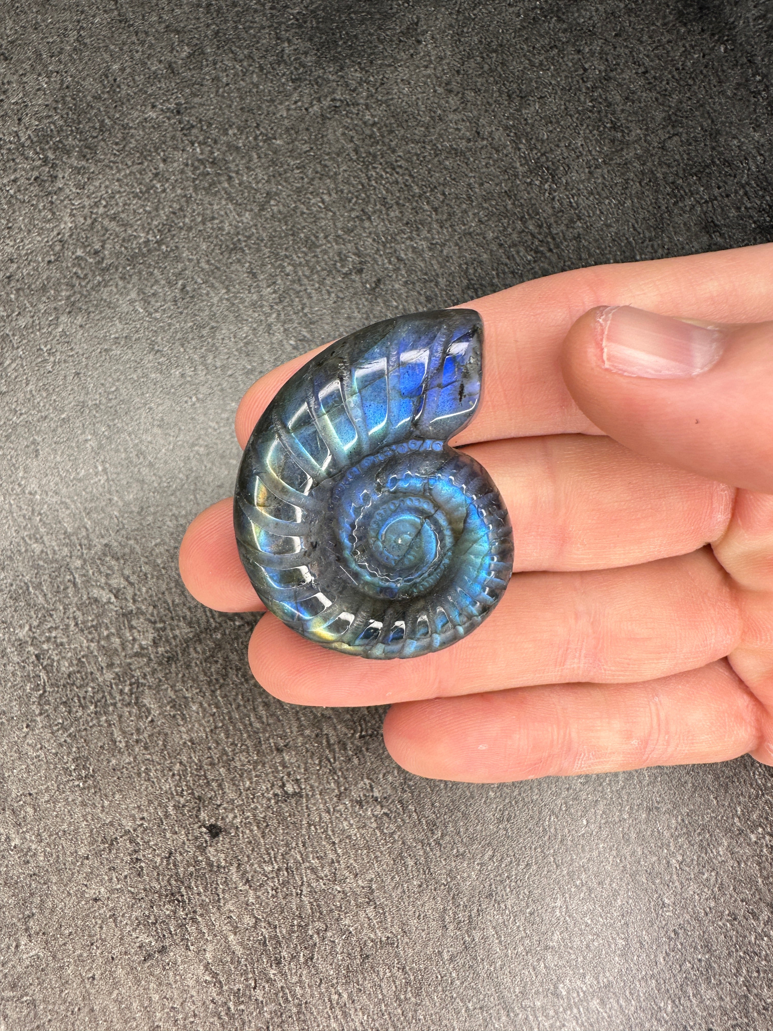 Labradorite - Shell carving