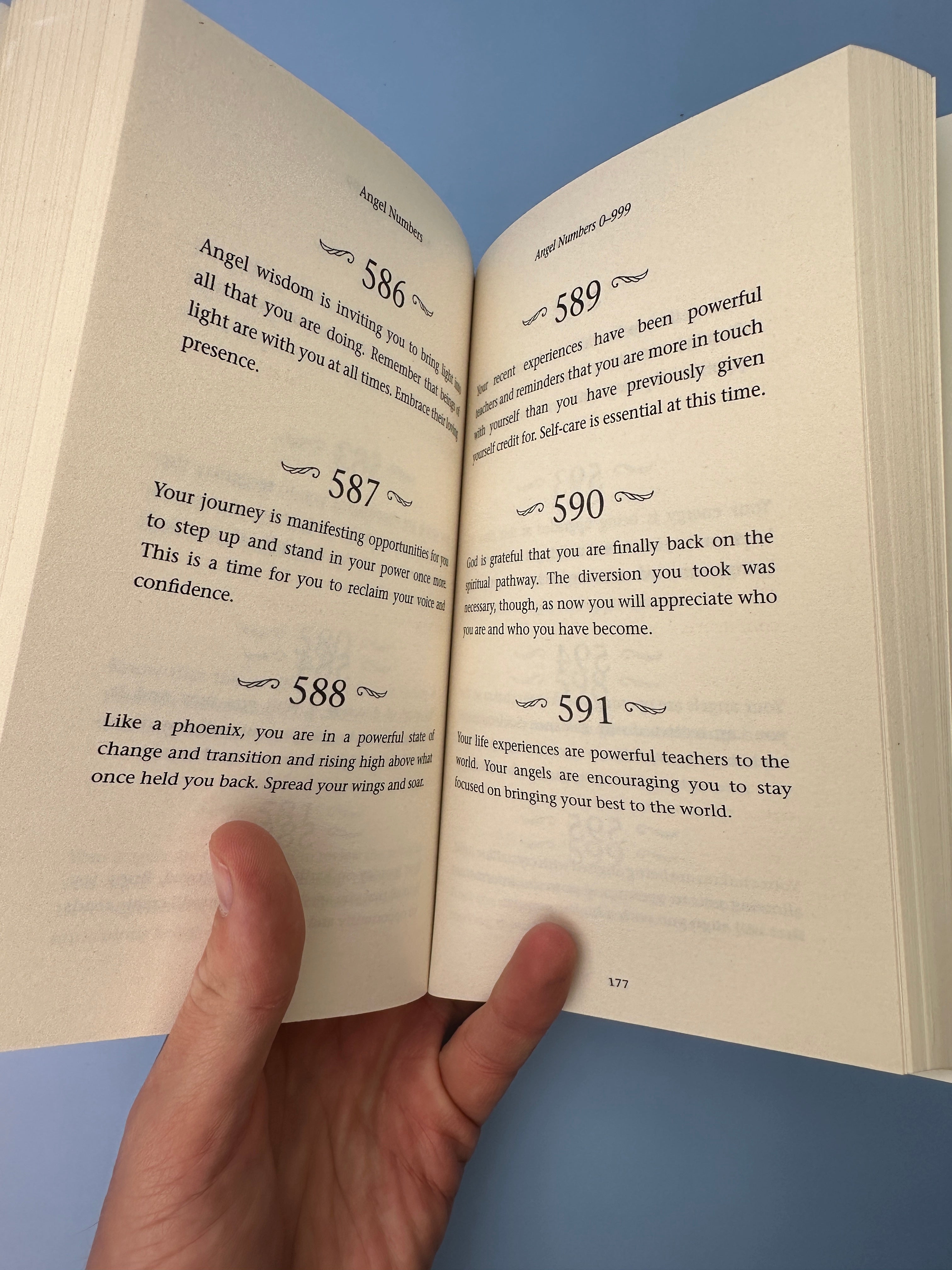 Angel Numbers, Kyle Gray