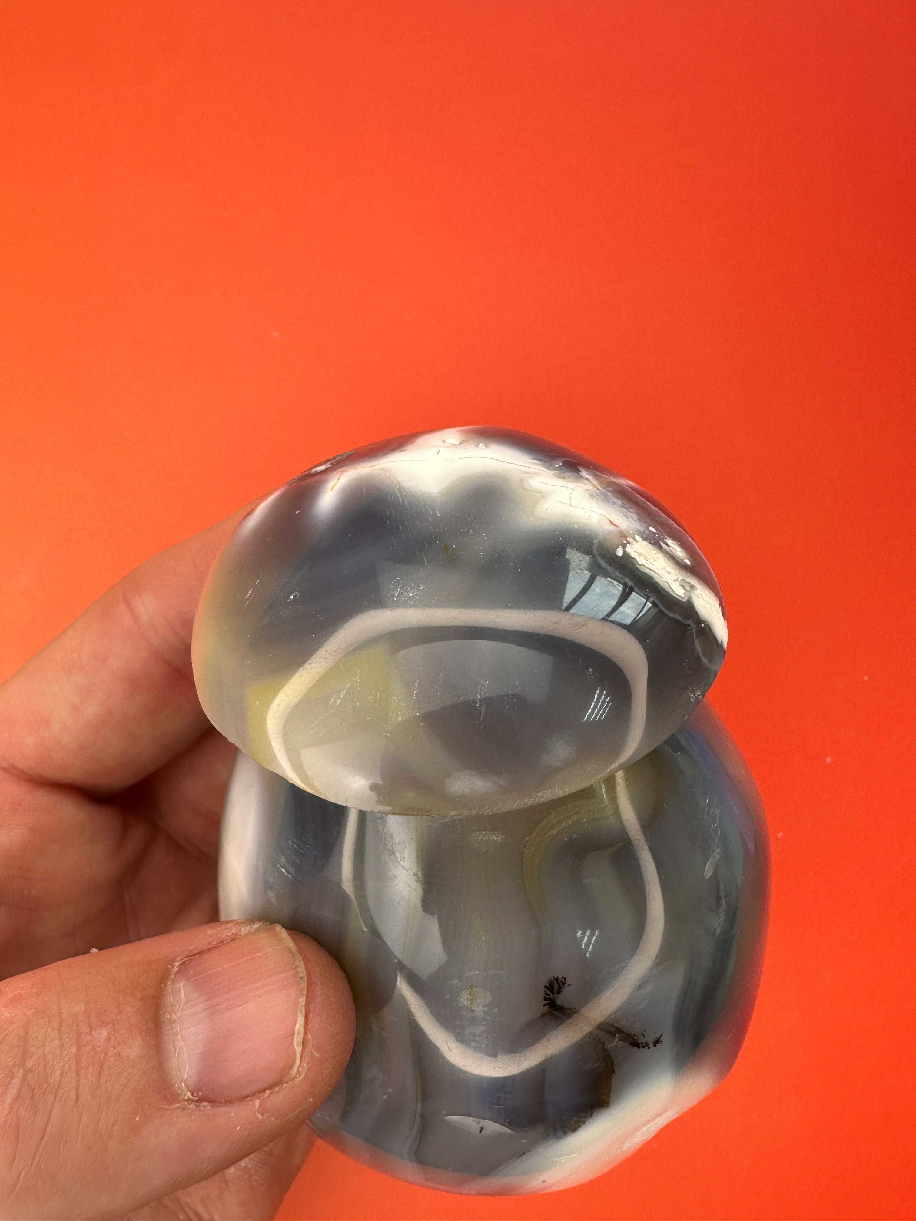 Orca agate - Mushroom free form