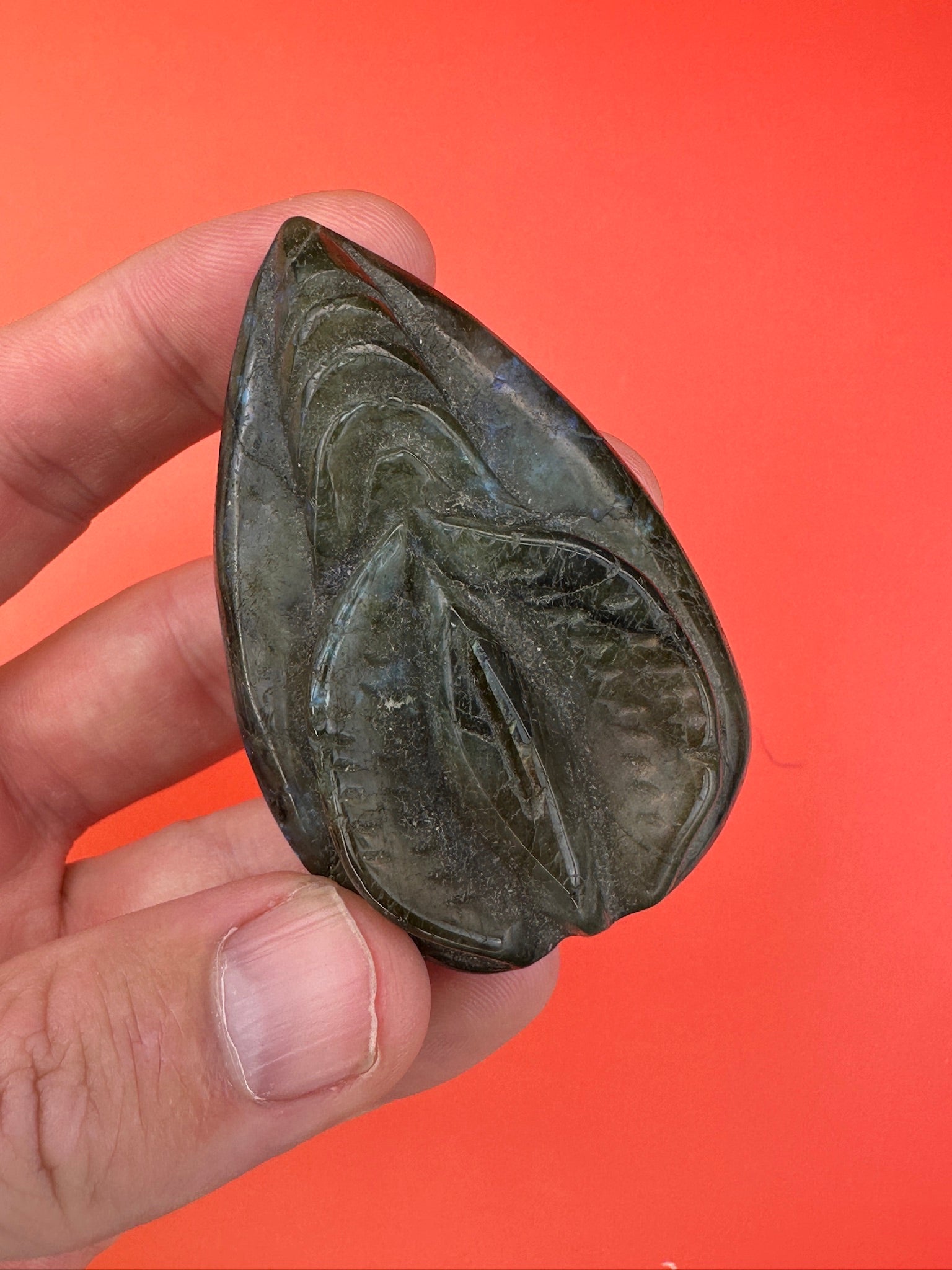 Labradorite - Lady lillies