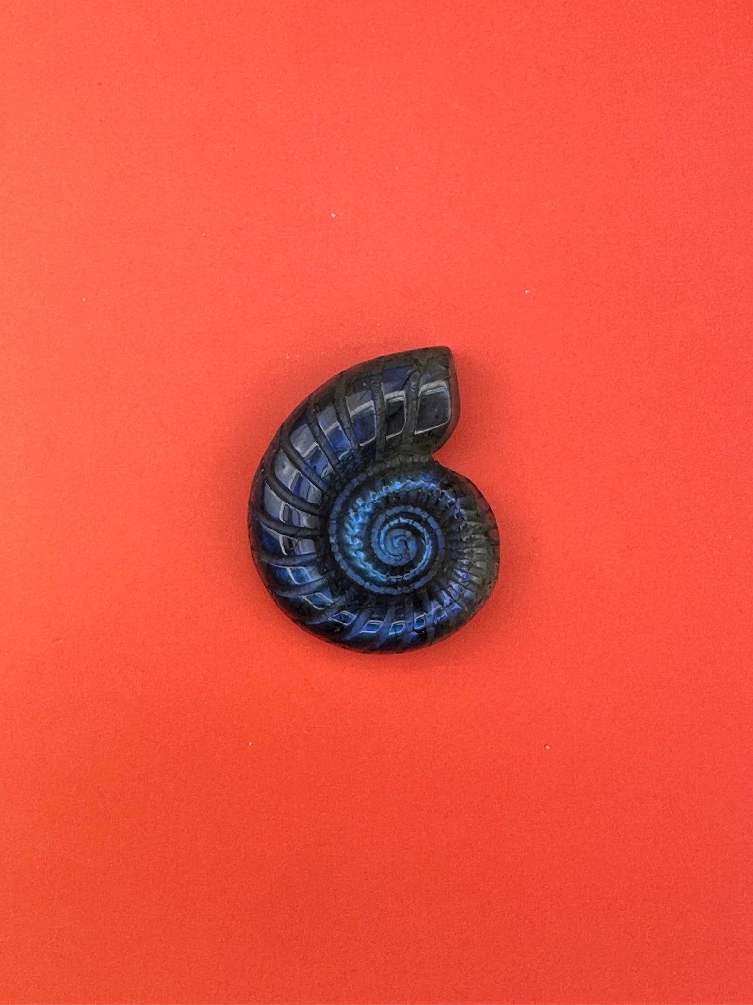 Labradorite - Shell carving