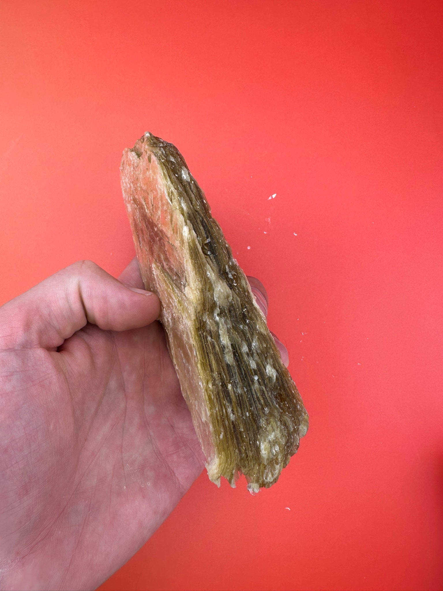 Gold star mica - XL Rough chunk