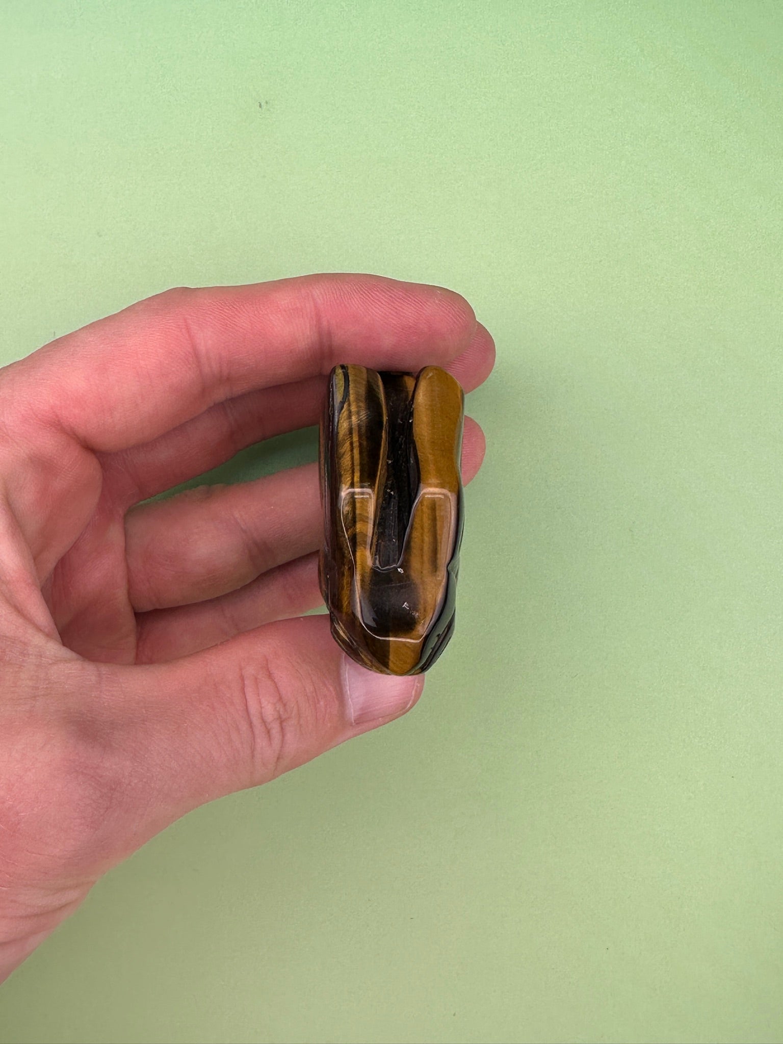 Tigers eye - Rabbit